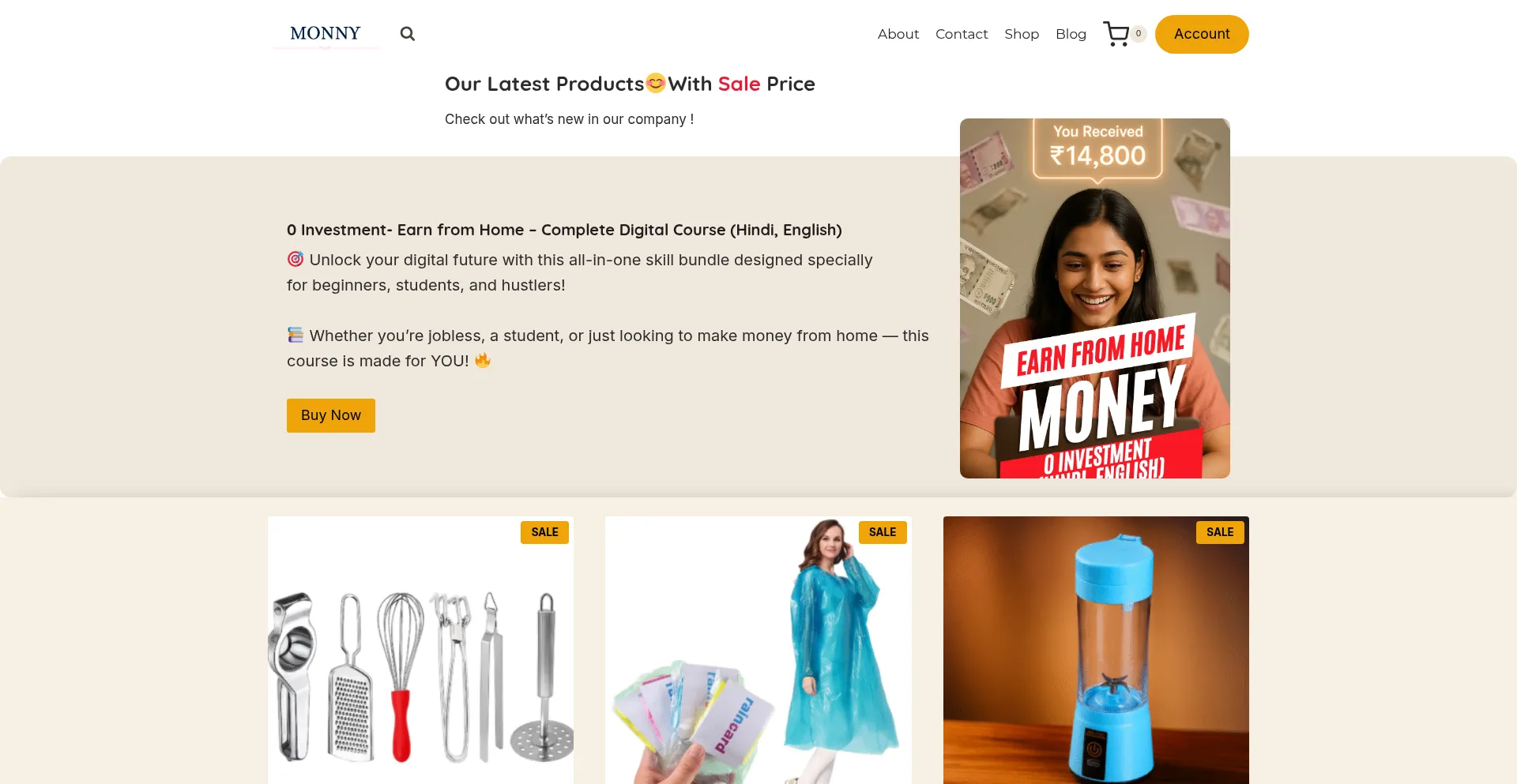 Website screenshot of Monny.in