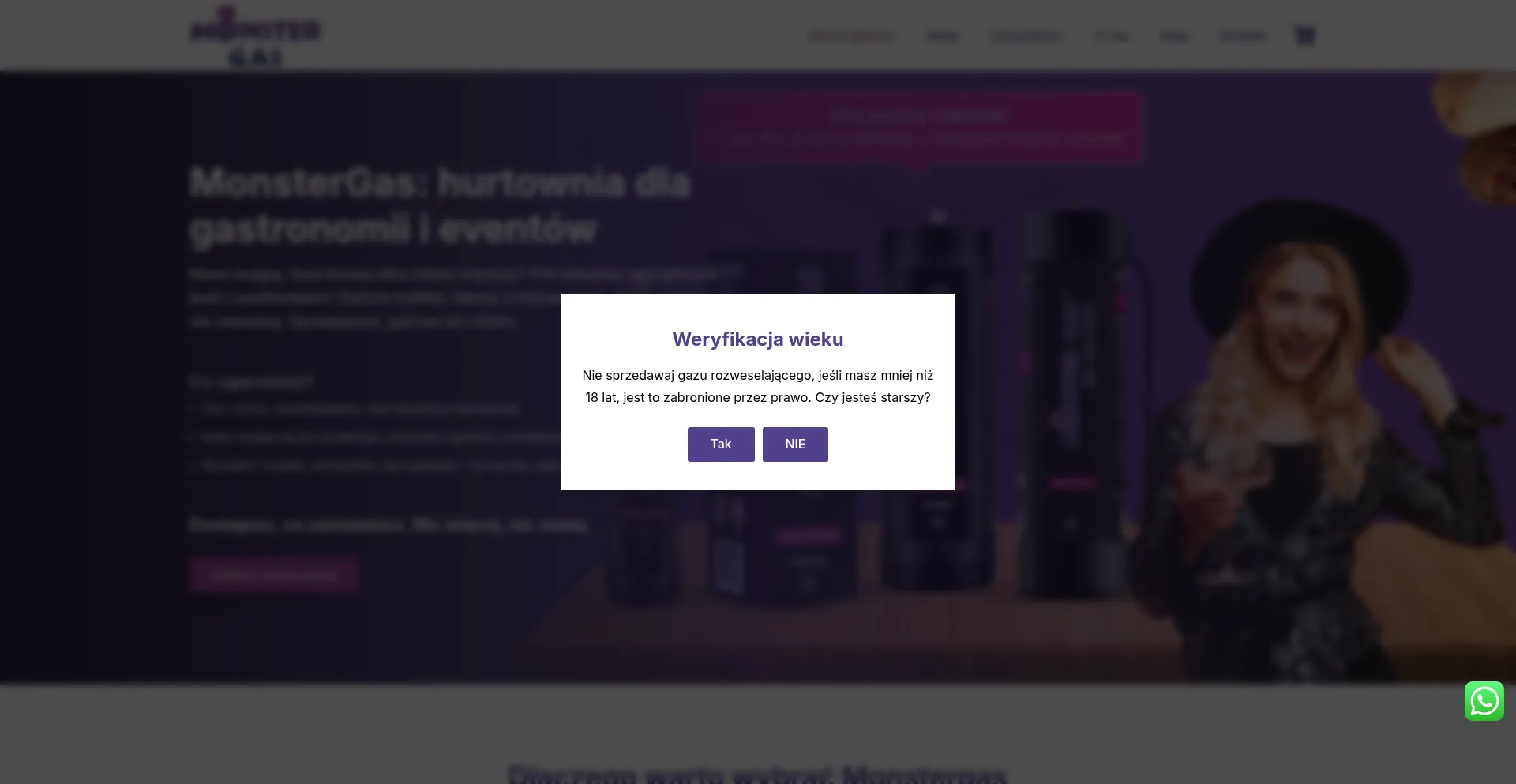 Website screenshot of Monstergas.pl