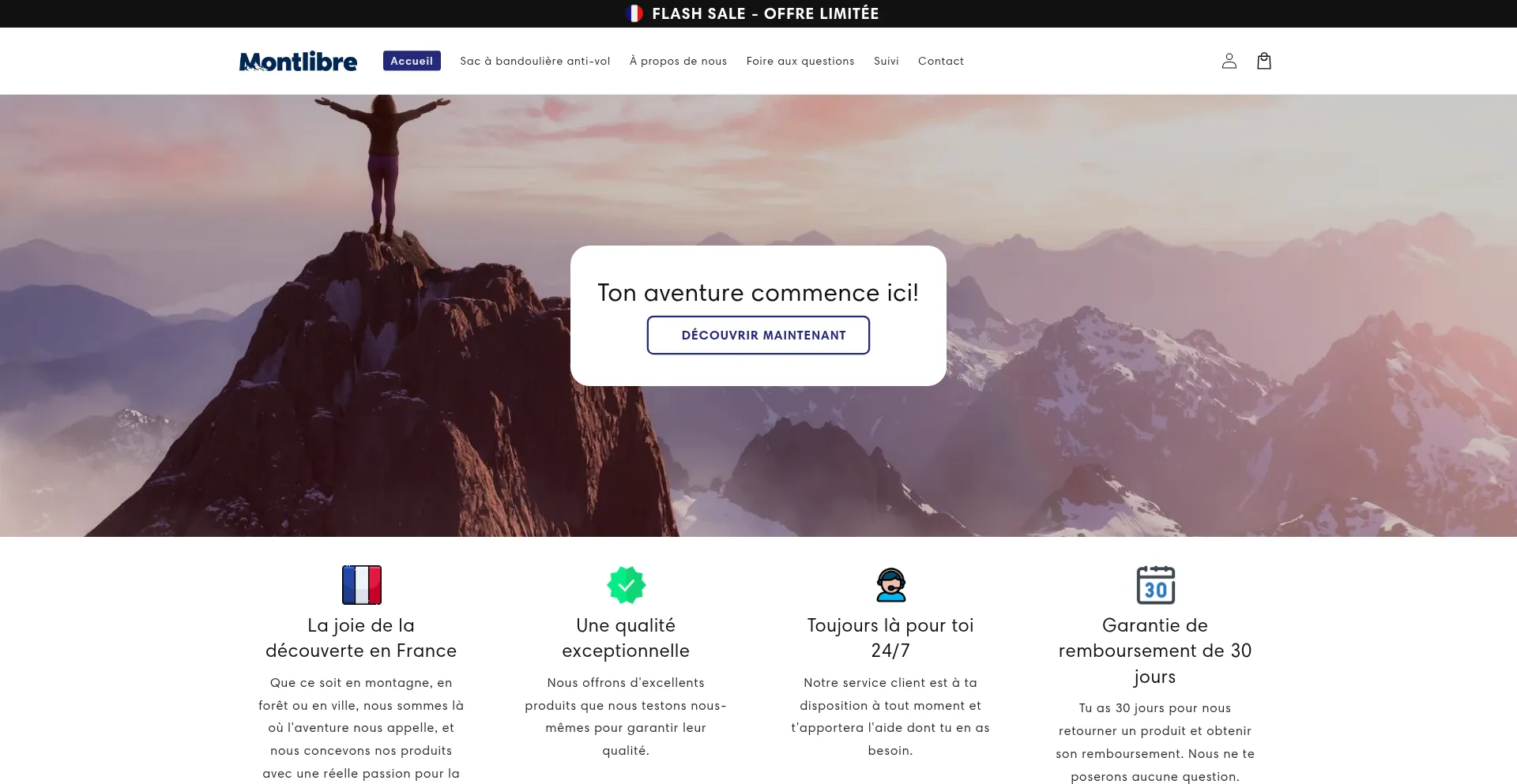 Website screenshot of Montlibre.fr