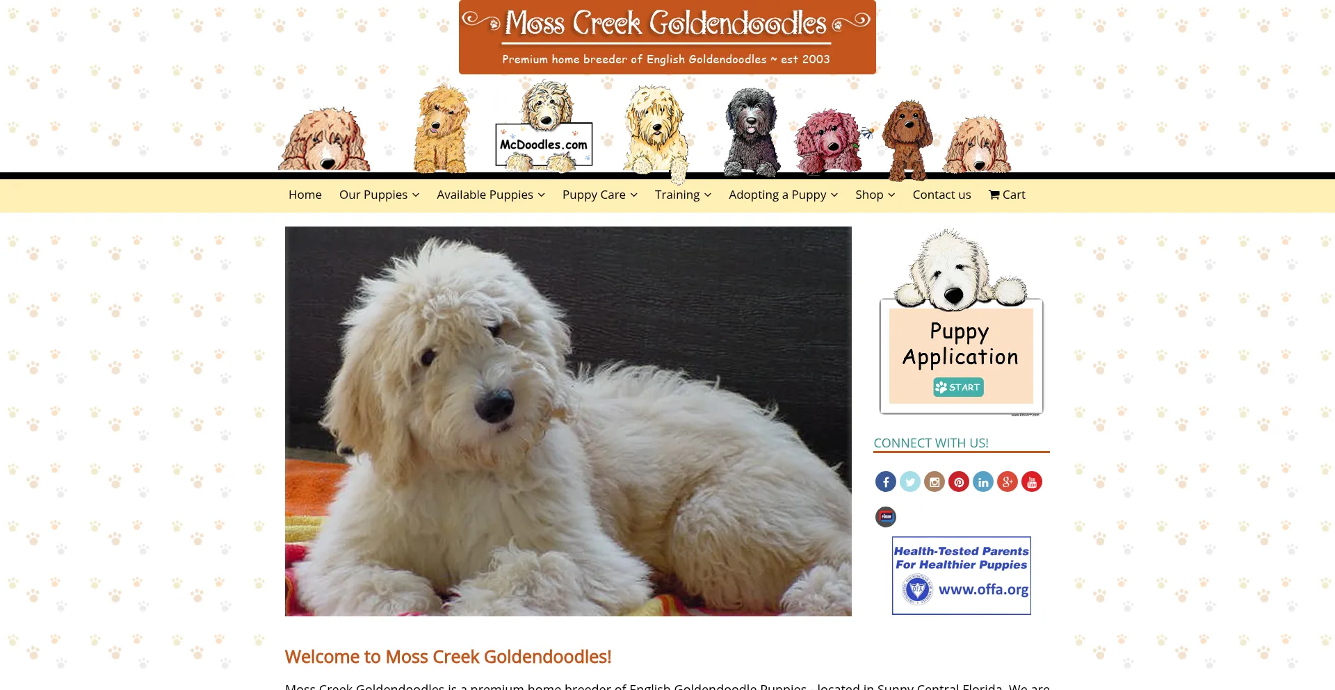 Website screenshot of Mosscreekgoldendoodles.com