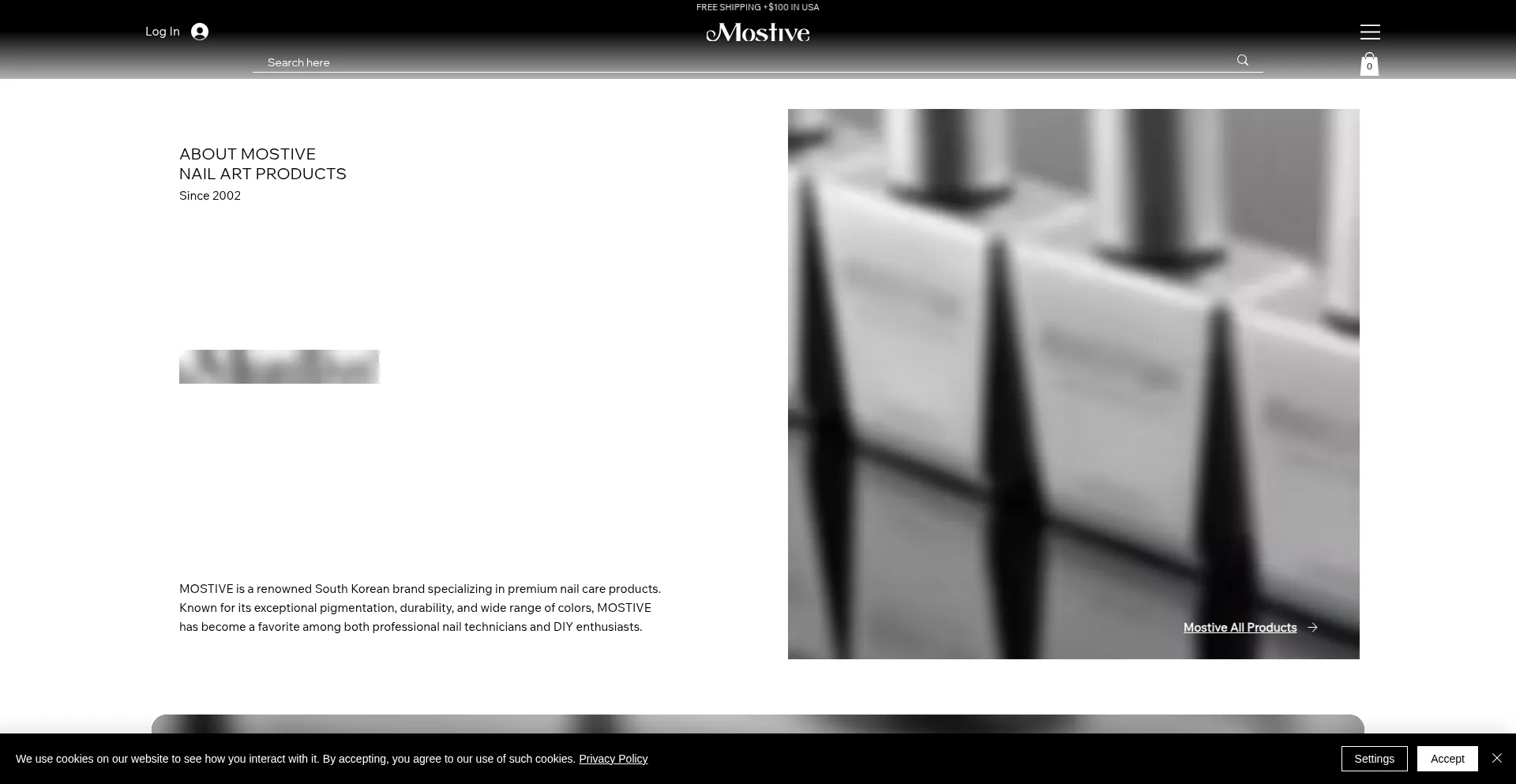 Website screenshot of Mostiveusa.com