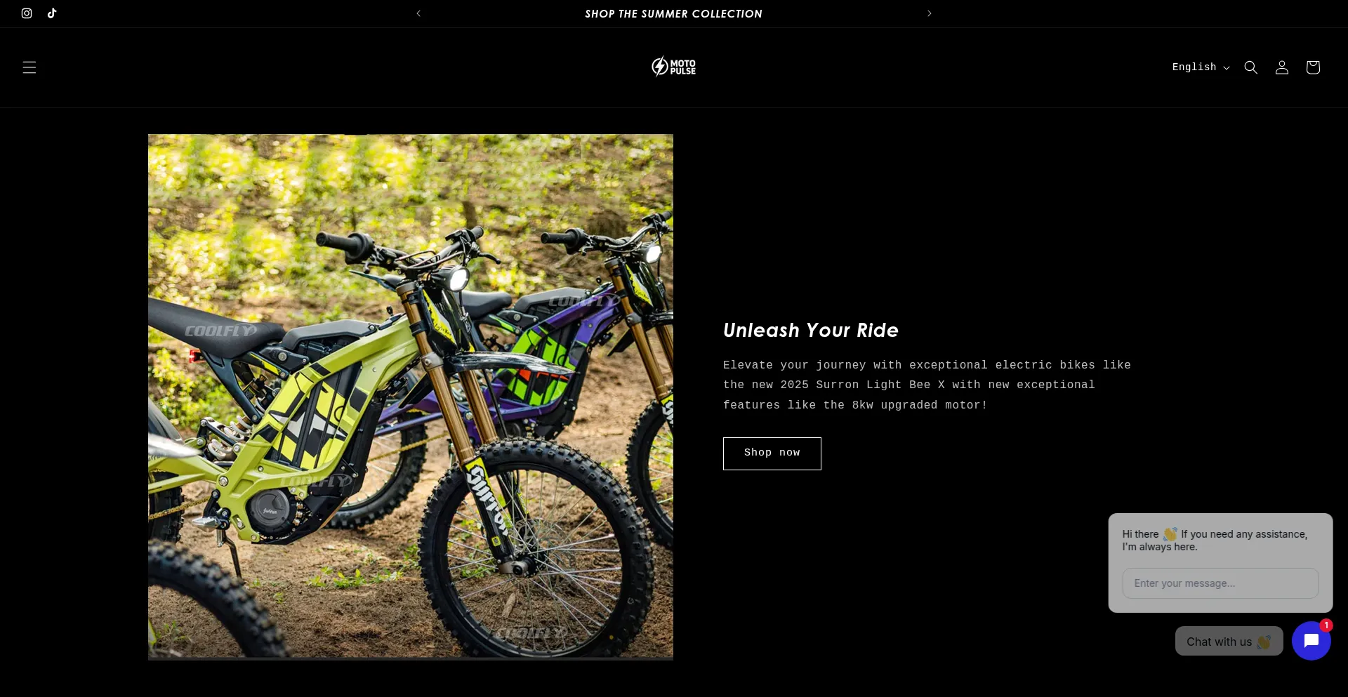 Website screenshot of Motopulse.shop