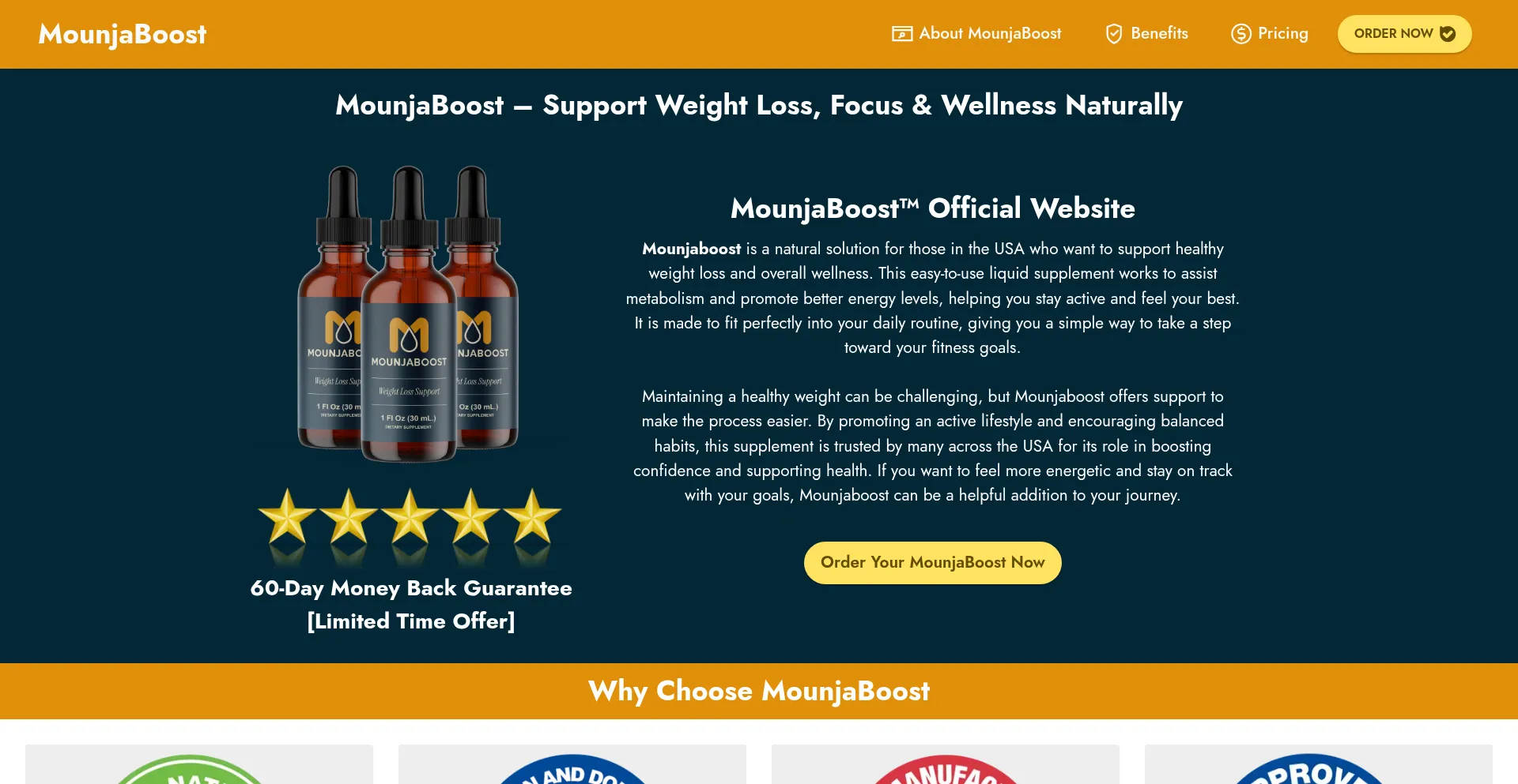 Website screenshot of Mounjoboost.com
