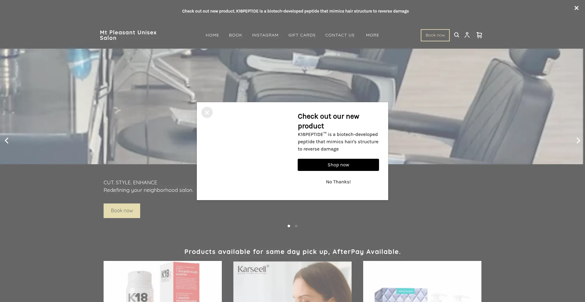 Website screenshot of Mtpsalon.com