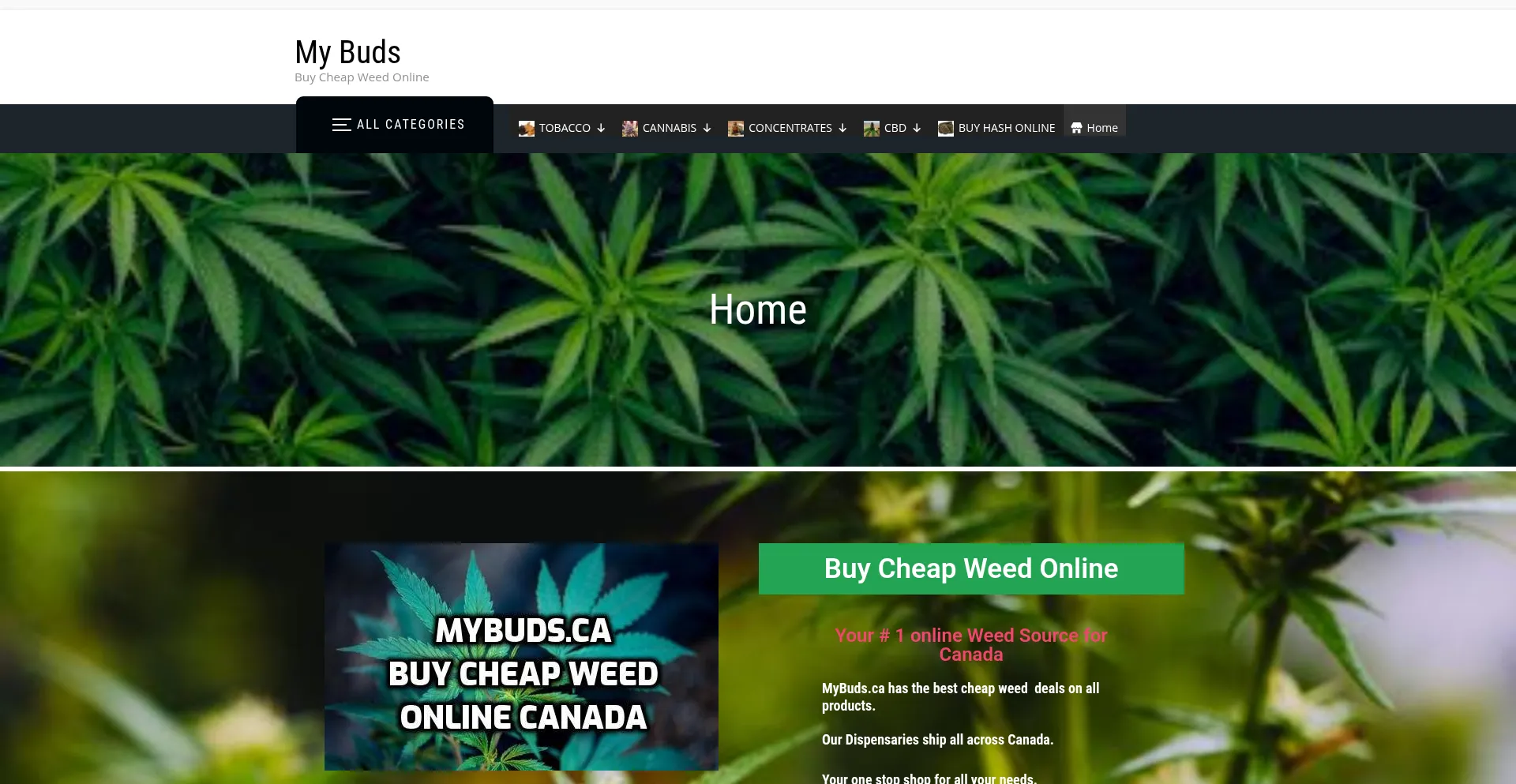 Website screenshot of Mybuds.ca