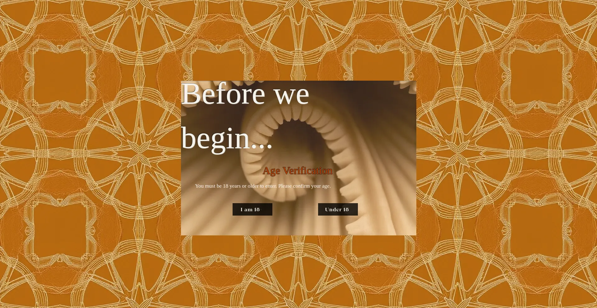 Mycomaestro.com Screenshot