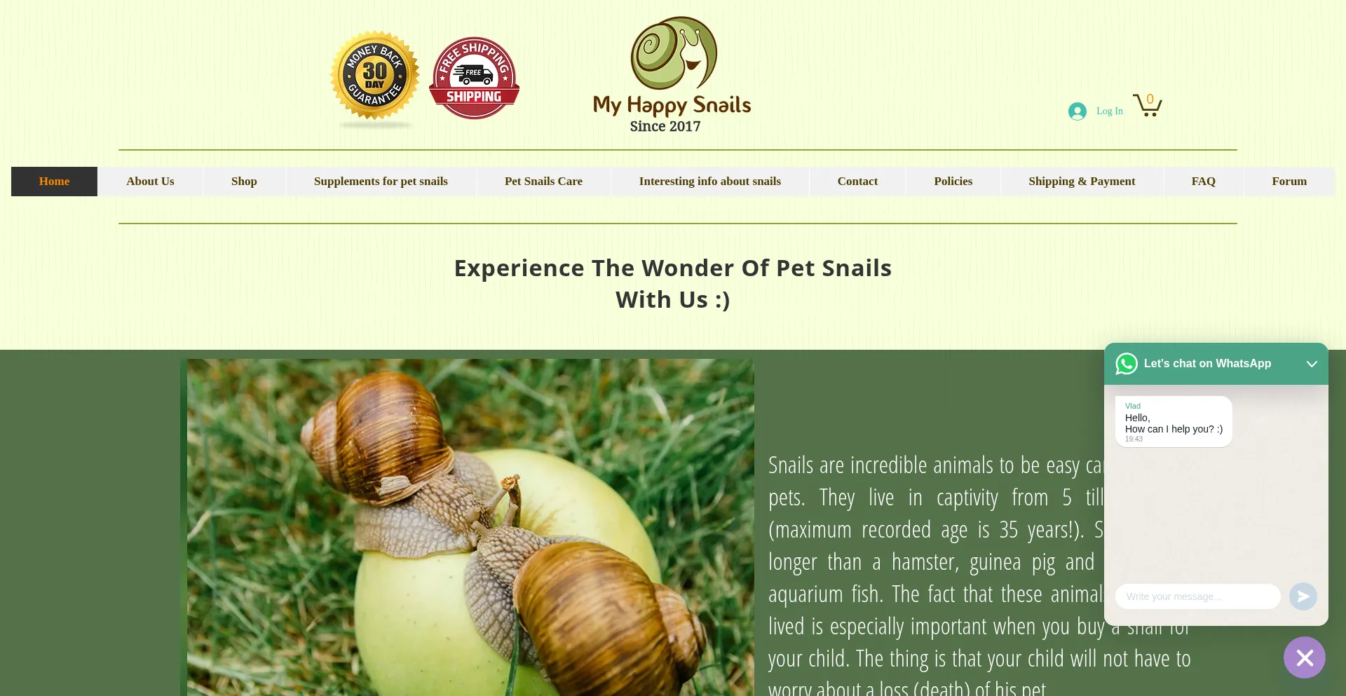 Website screenshot of Myhappysnails.com