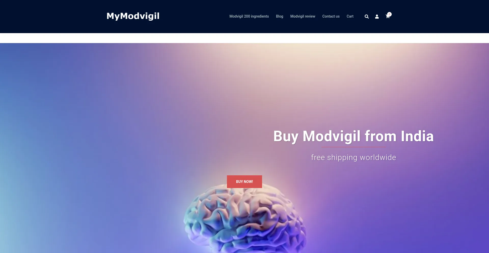 Website screenshot of Mymodvigil.com
