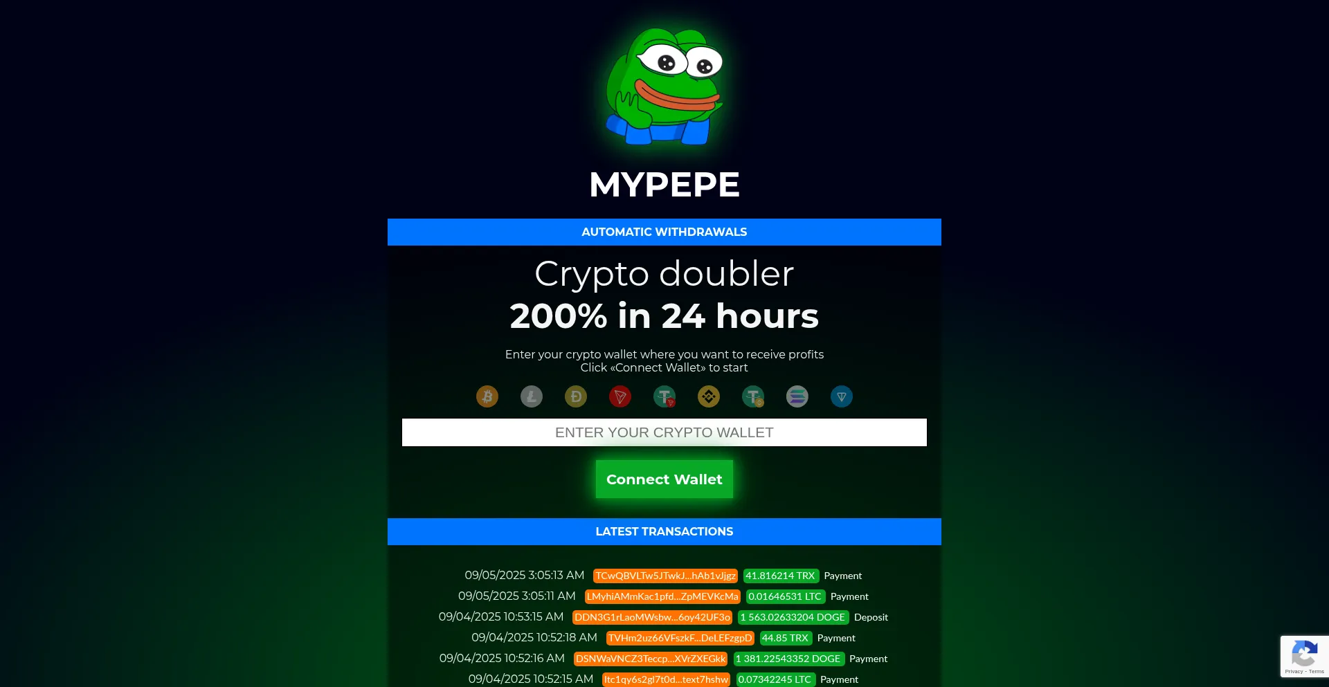 Website screenshot of Mypepe.top