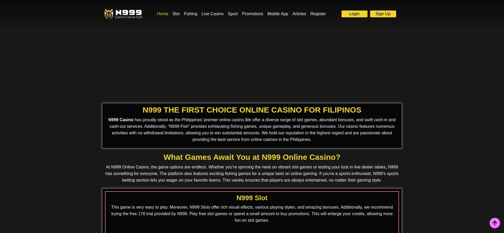 Website screenshot of N999.site