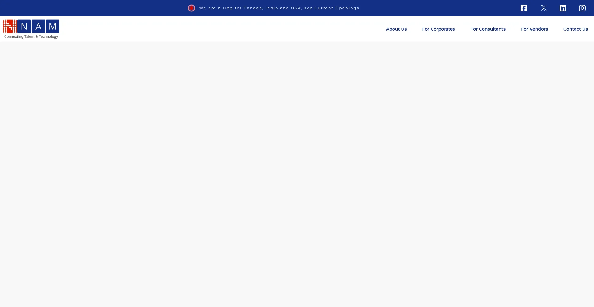 Website screenshot of Nam-it.com