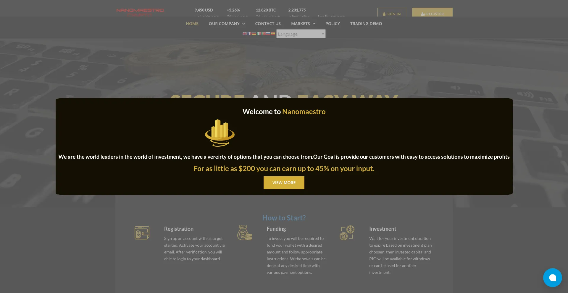 Nanomaestro.org
