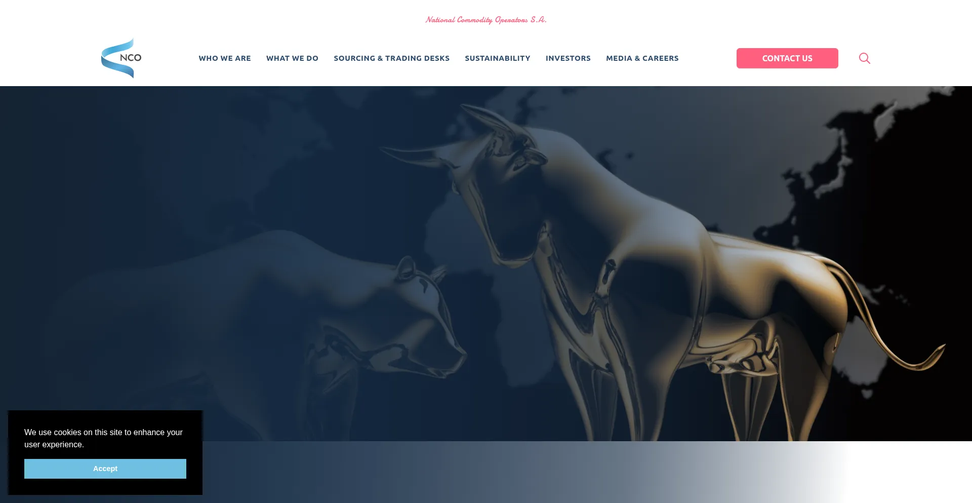 Website screenshot of Natcomops.com