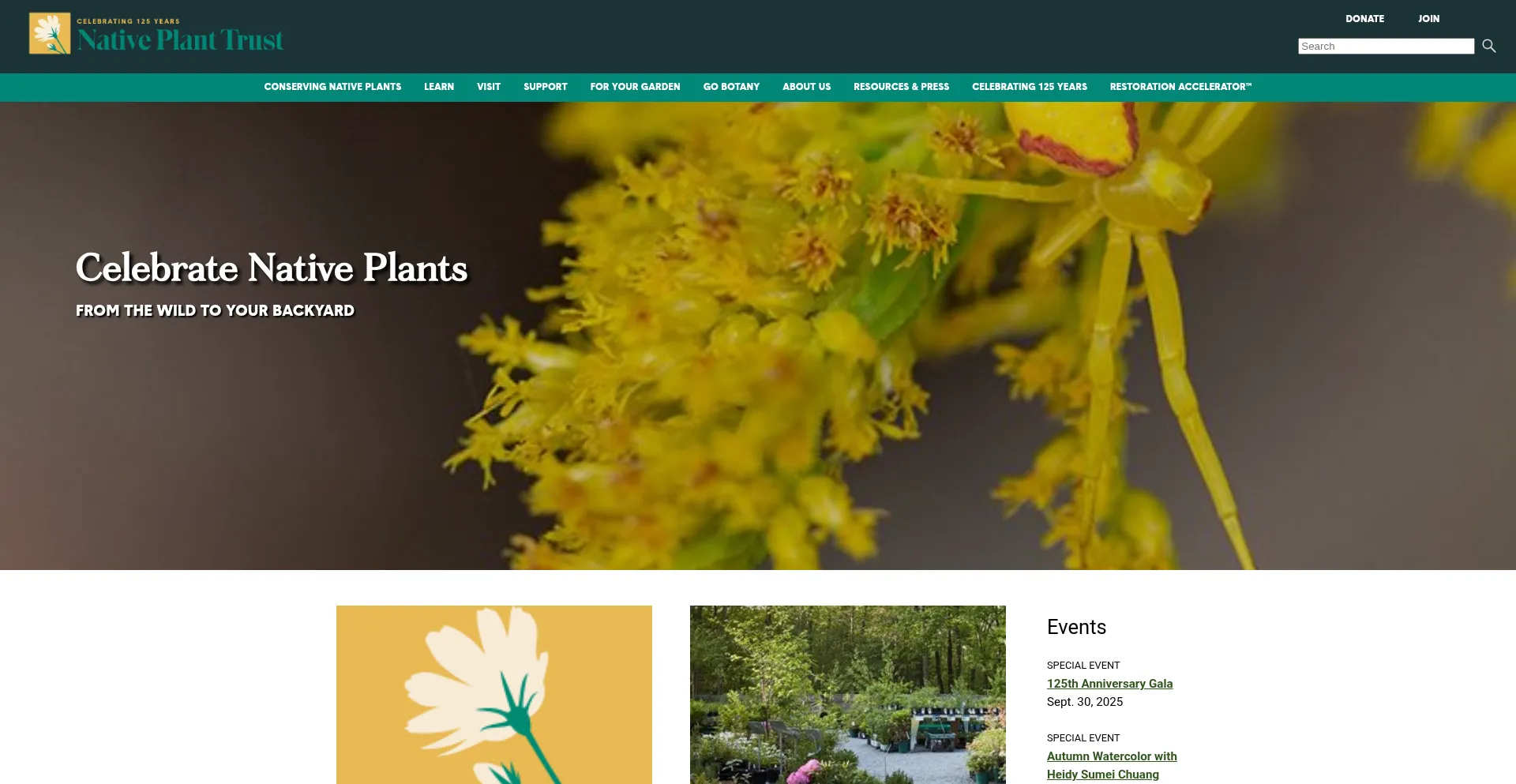 Nativeplanttrust.org 安全可靠吗？