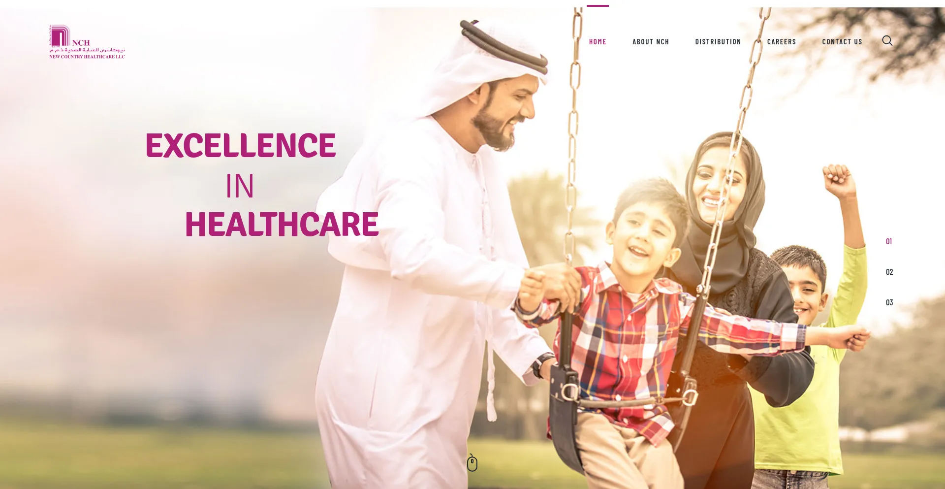 Website screenshot of Nchme.com