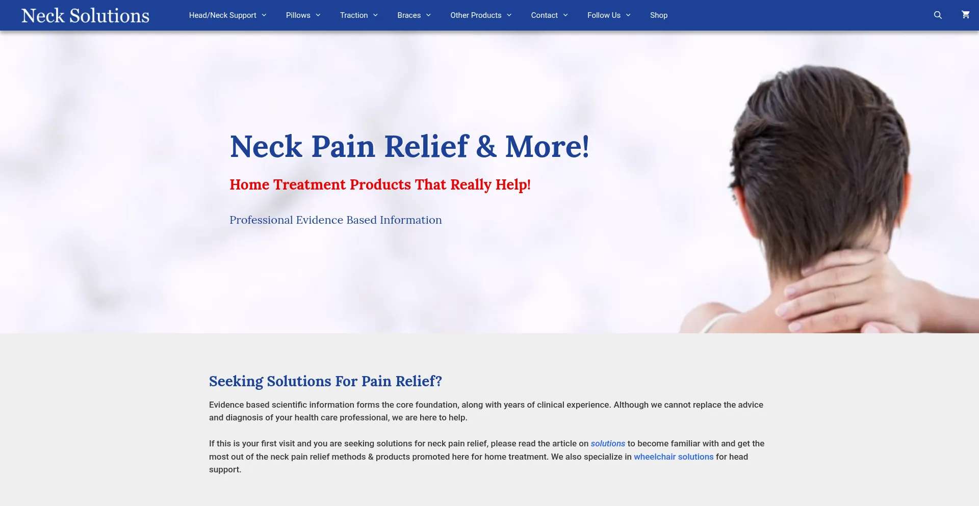 Website screenshot of Necksolutions.com