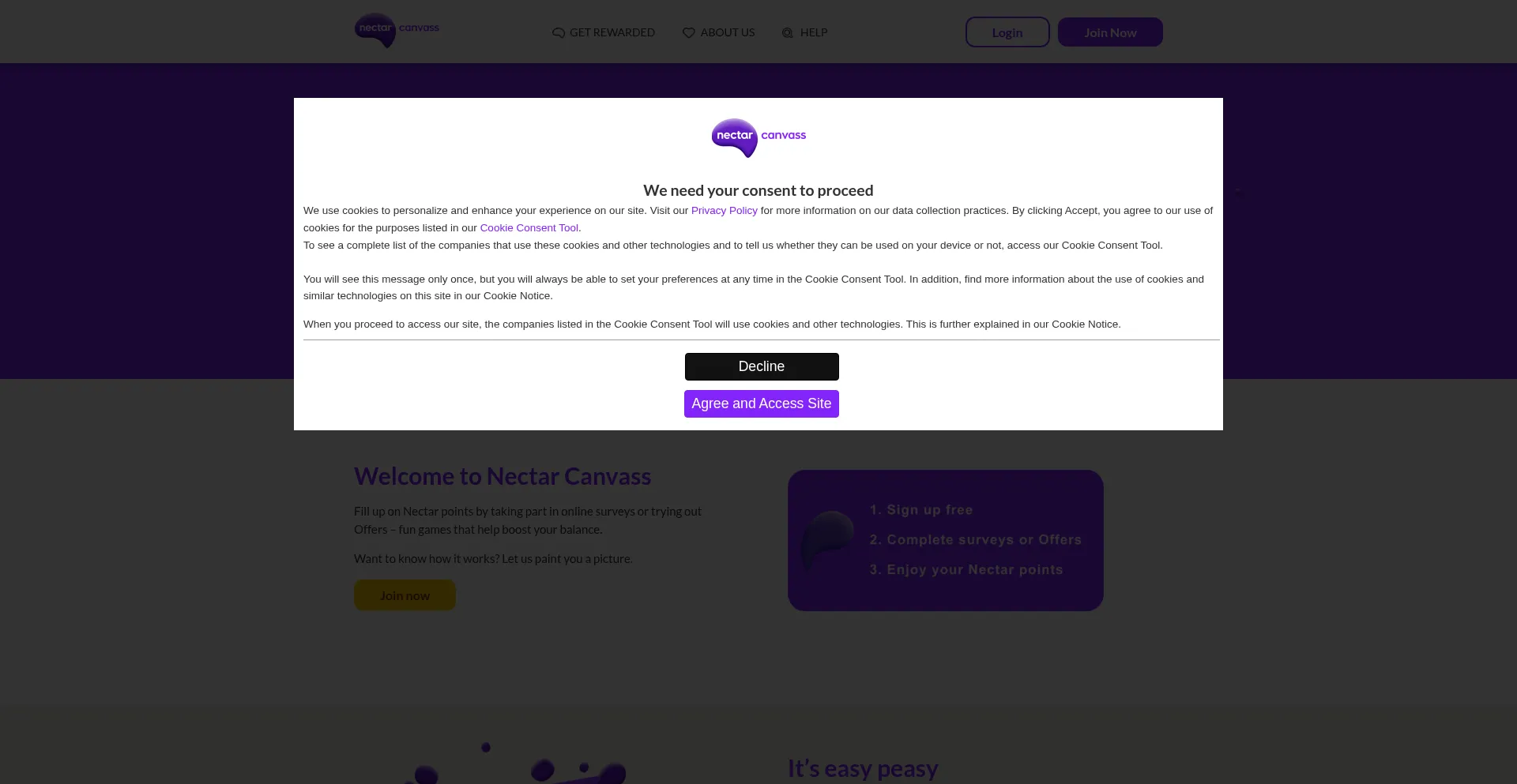 Nectarcanvass.rn-partner.com
