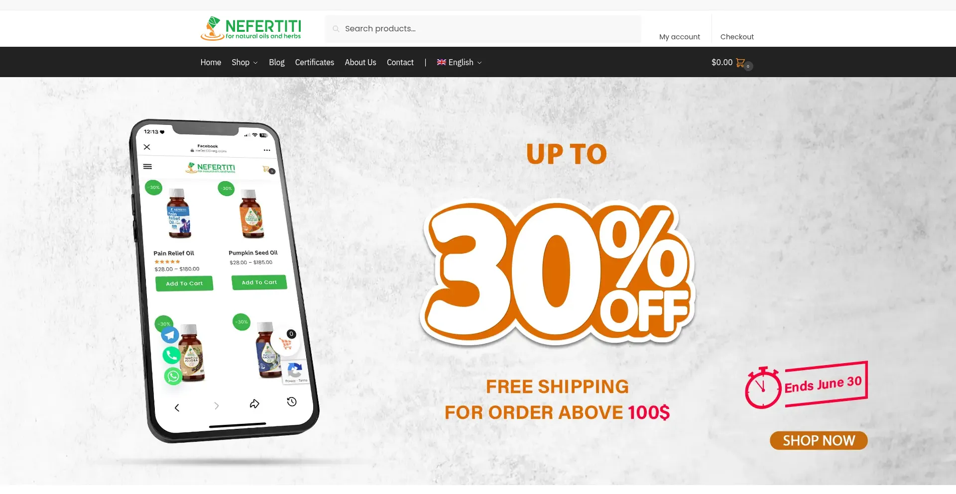 Website screenshot of Nefertiti-eg.com