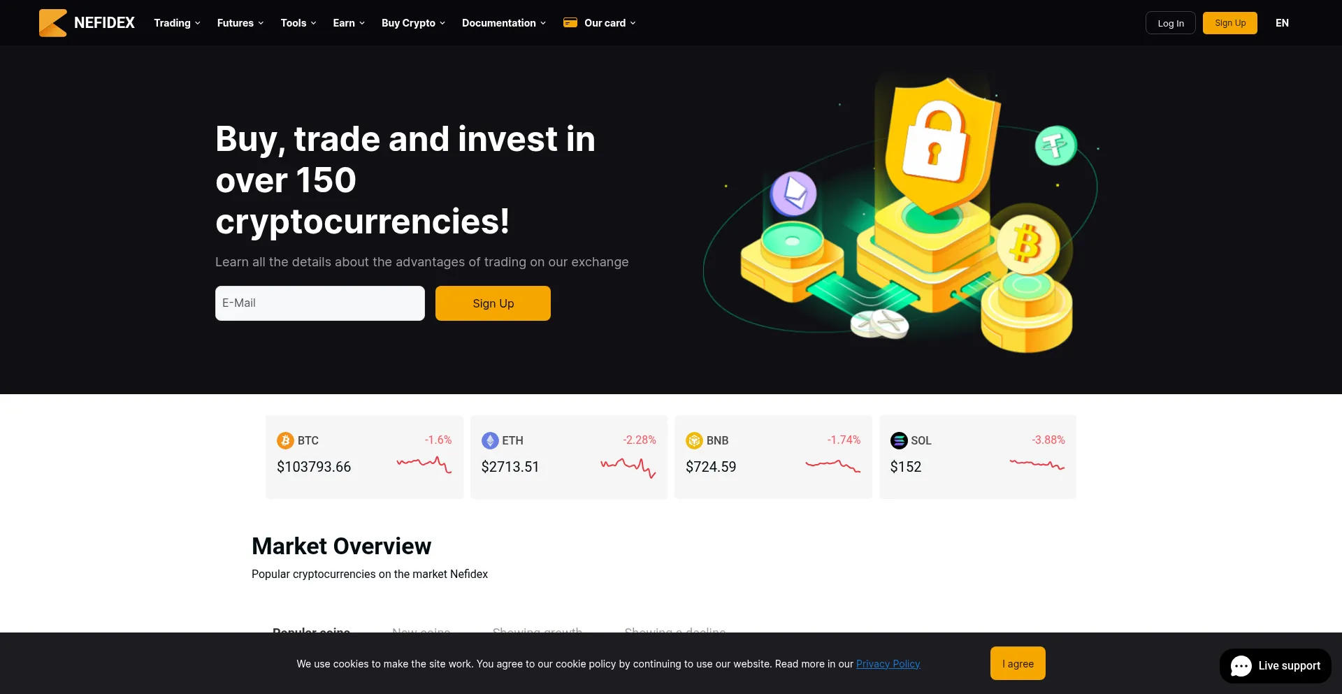 Website screenshot of Nefidex.com