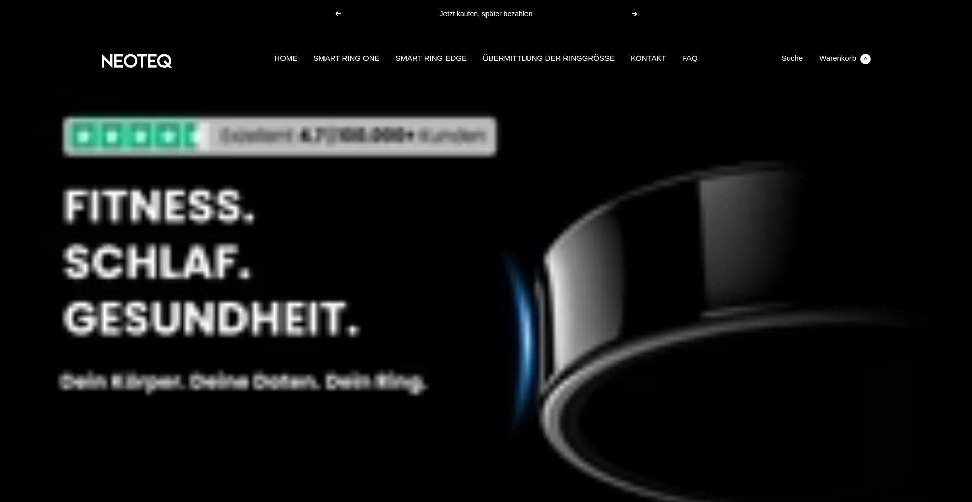 Website screenshot of Neoteq-x.com