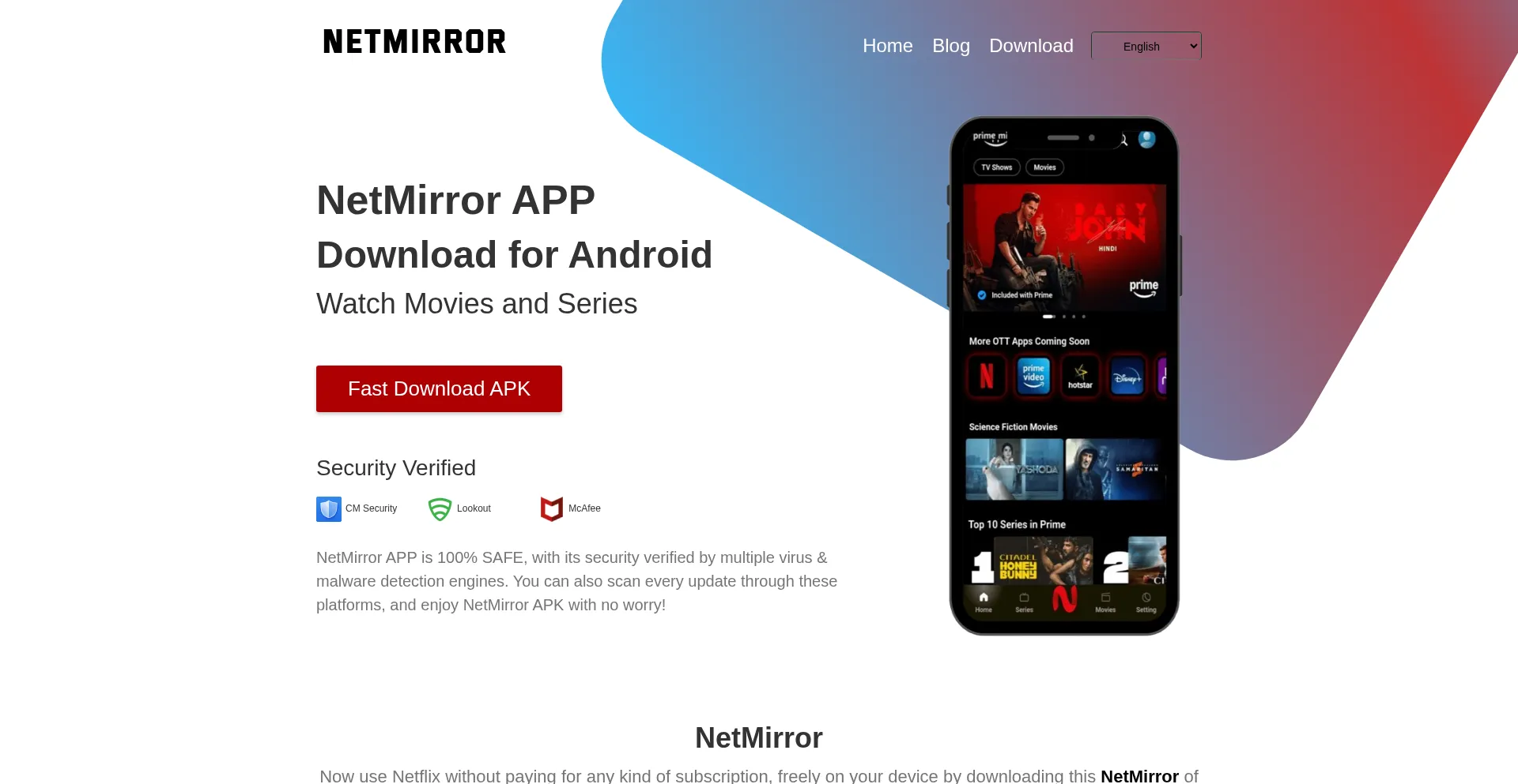 Netmirror.net.pk
