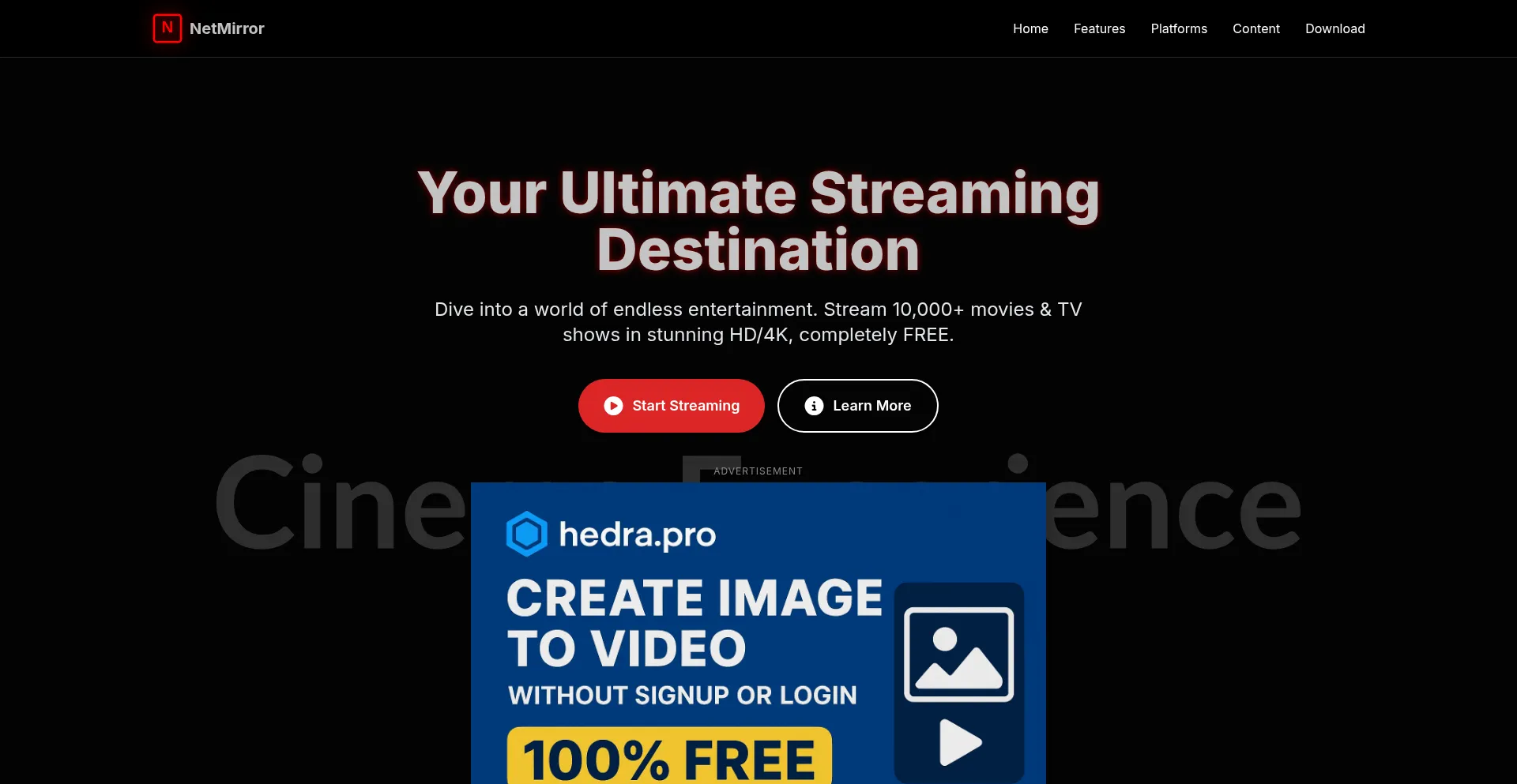 Website screenshot of Netmirror.network
