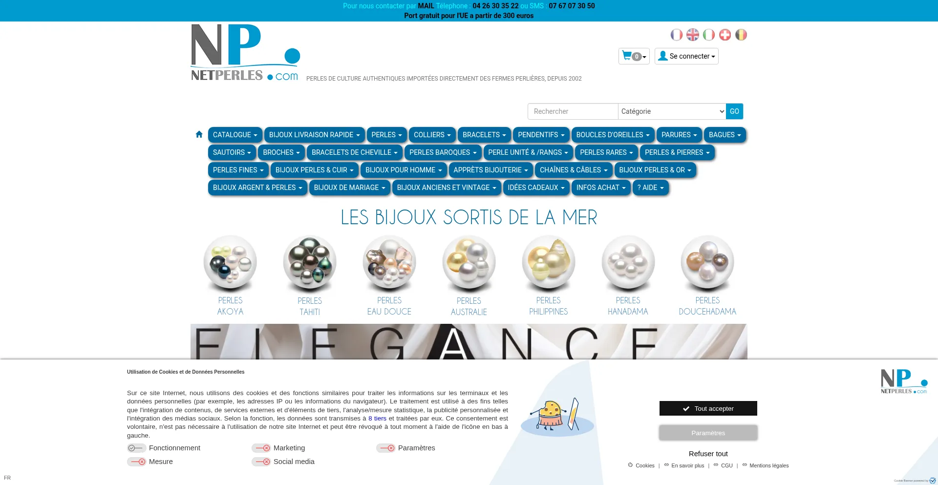 Website screenshot of Netperles.com