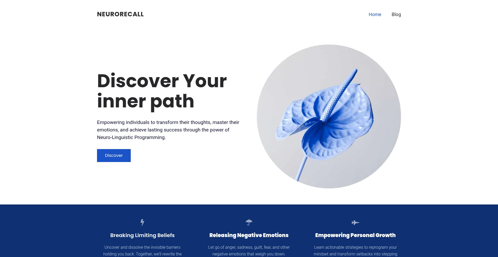 Neurorecall.com