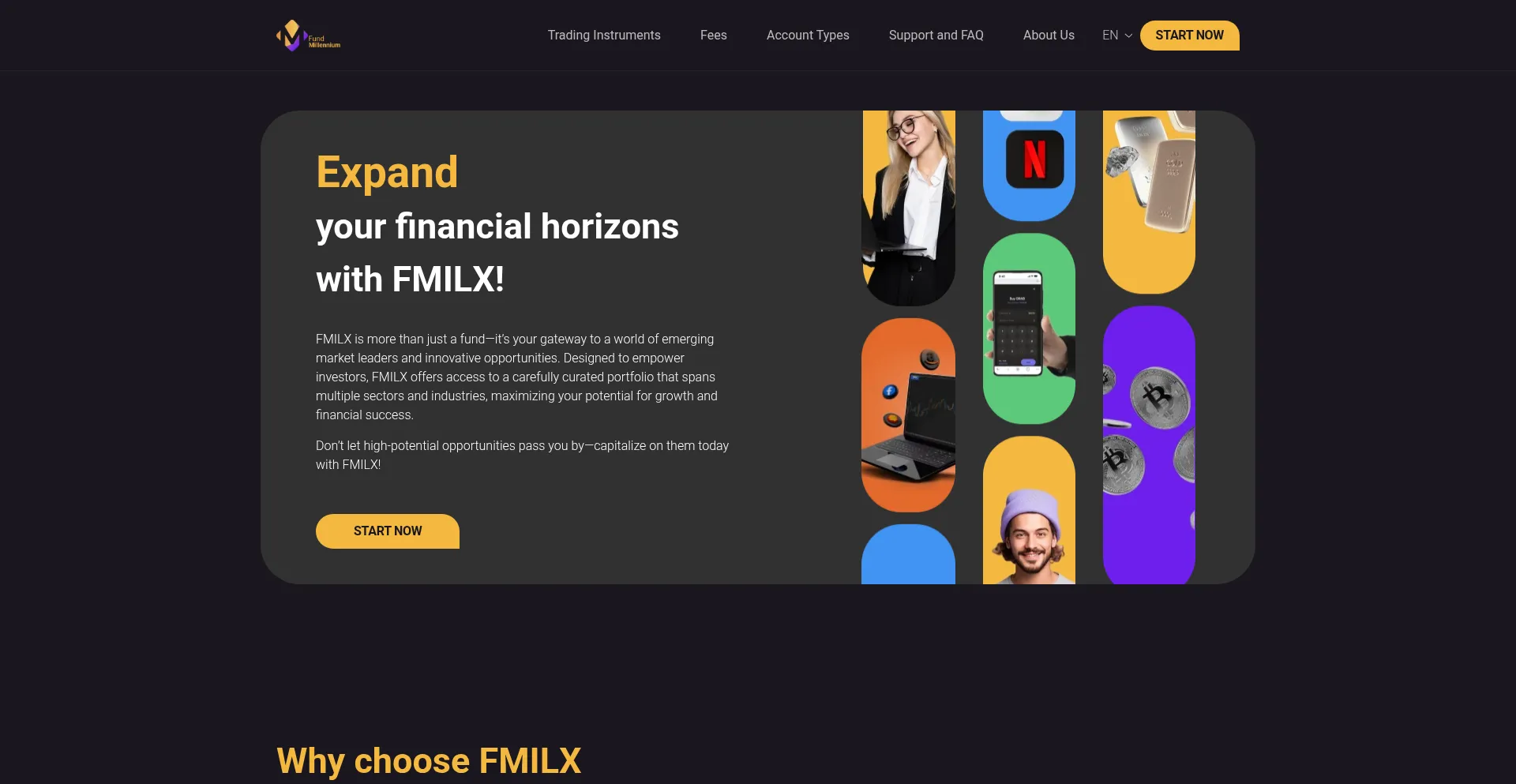 Website screenshot of New-millennium-fund.net