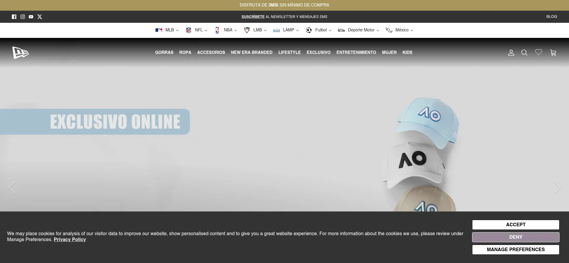 Website screenshot of Newera.mx
