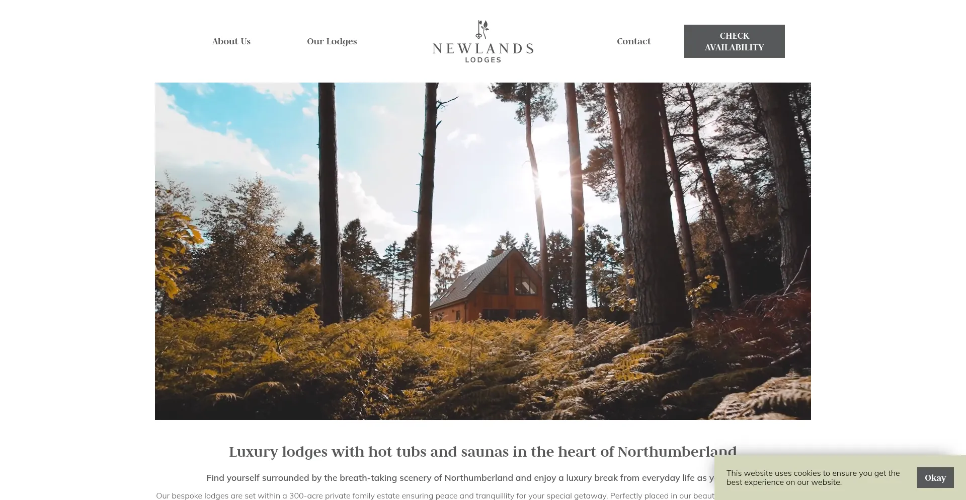 Website screenshot of Newlandslodges.co.uk