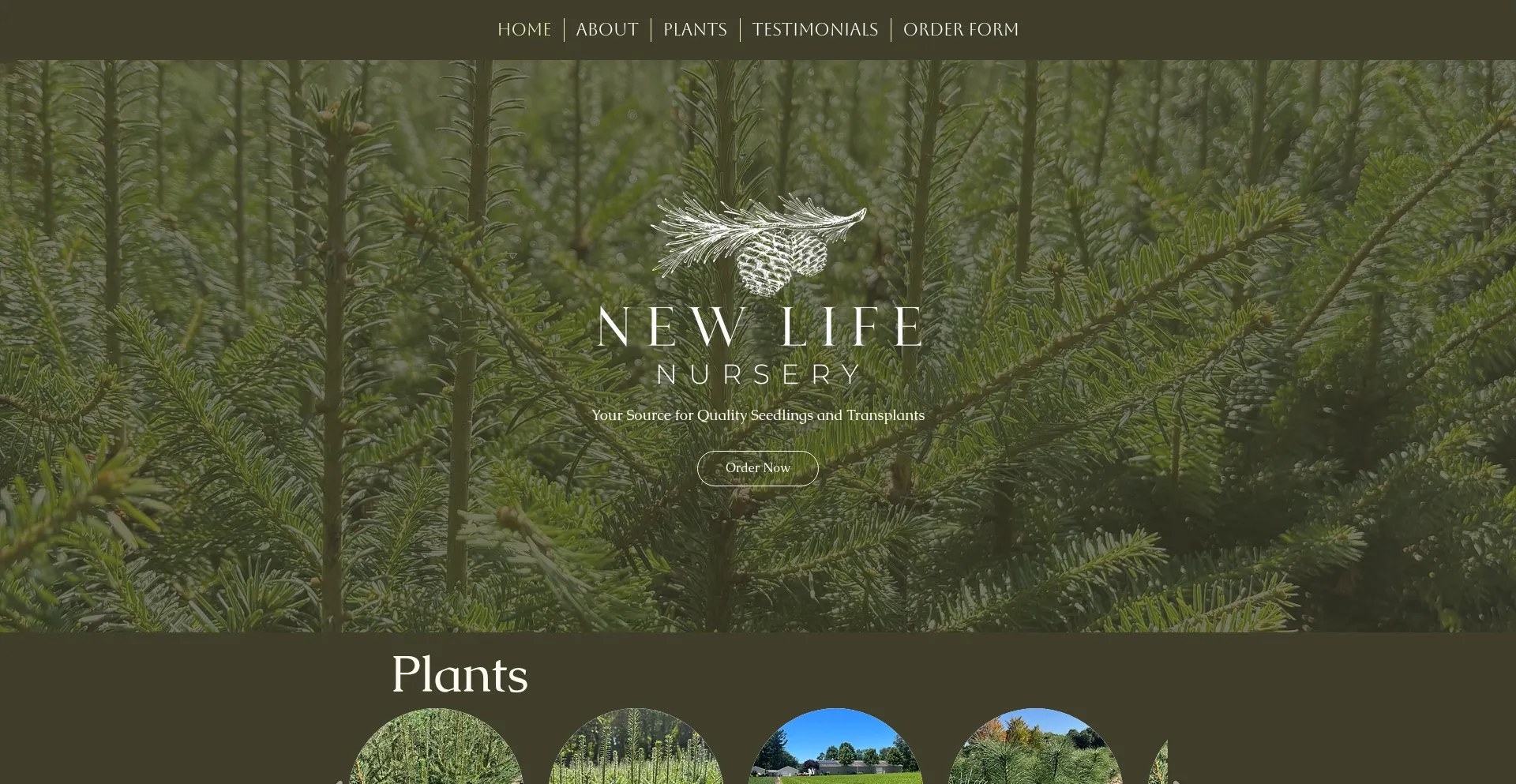 Newlifenursery.com