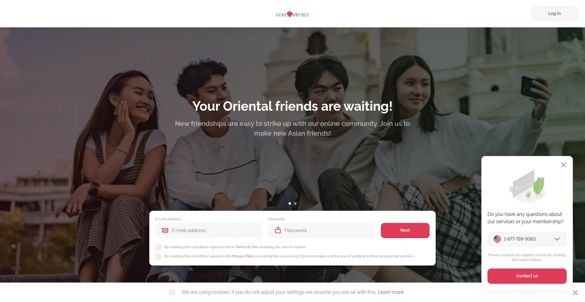 Website screenshot of Newlovevibes.com