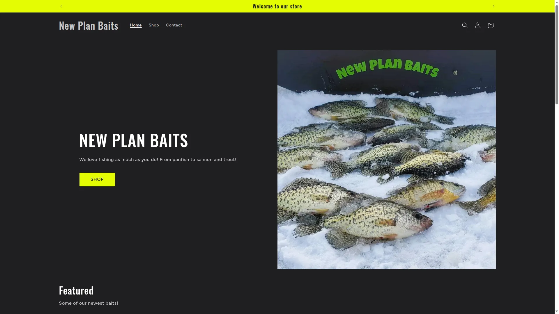 Newplanbaits.com