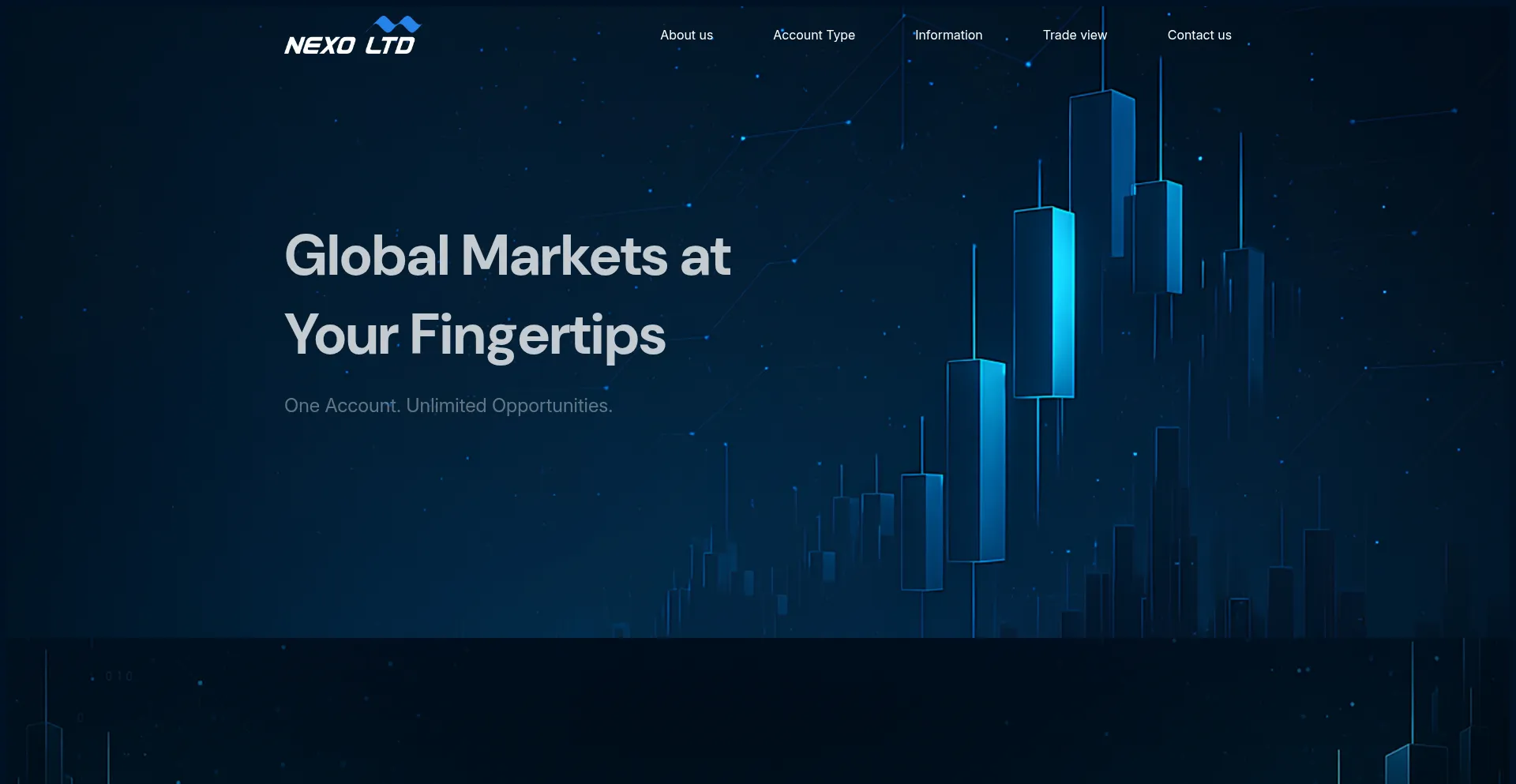 Website screenshot of Nexo-ltd.com
