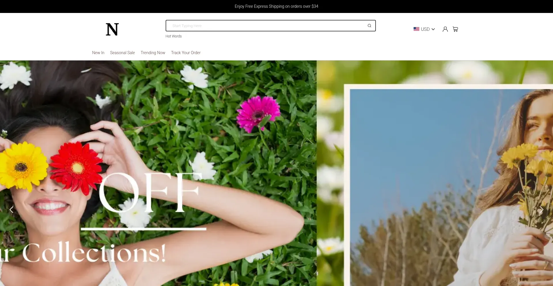 Website screenshot of Nezins.com