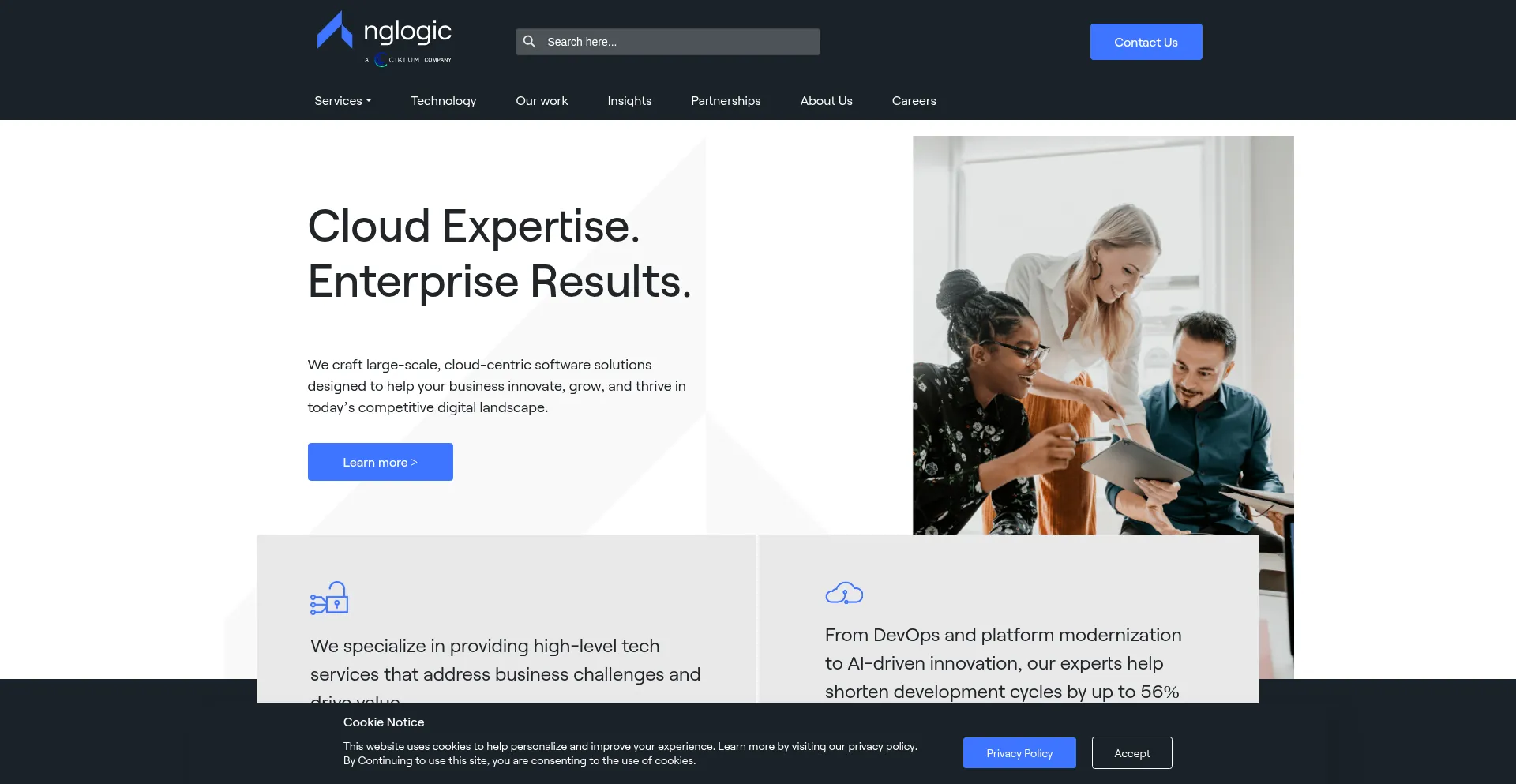 Website screenshot of Nglogic.com