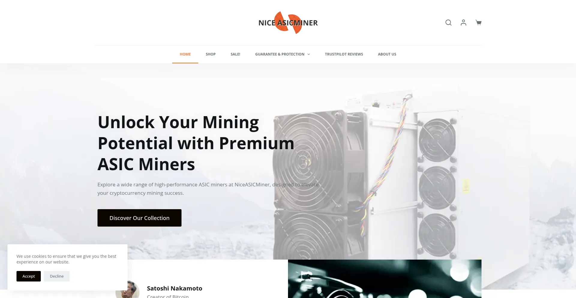 Website screenshot of Niceasicminer.com