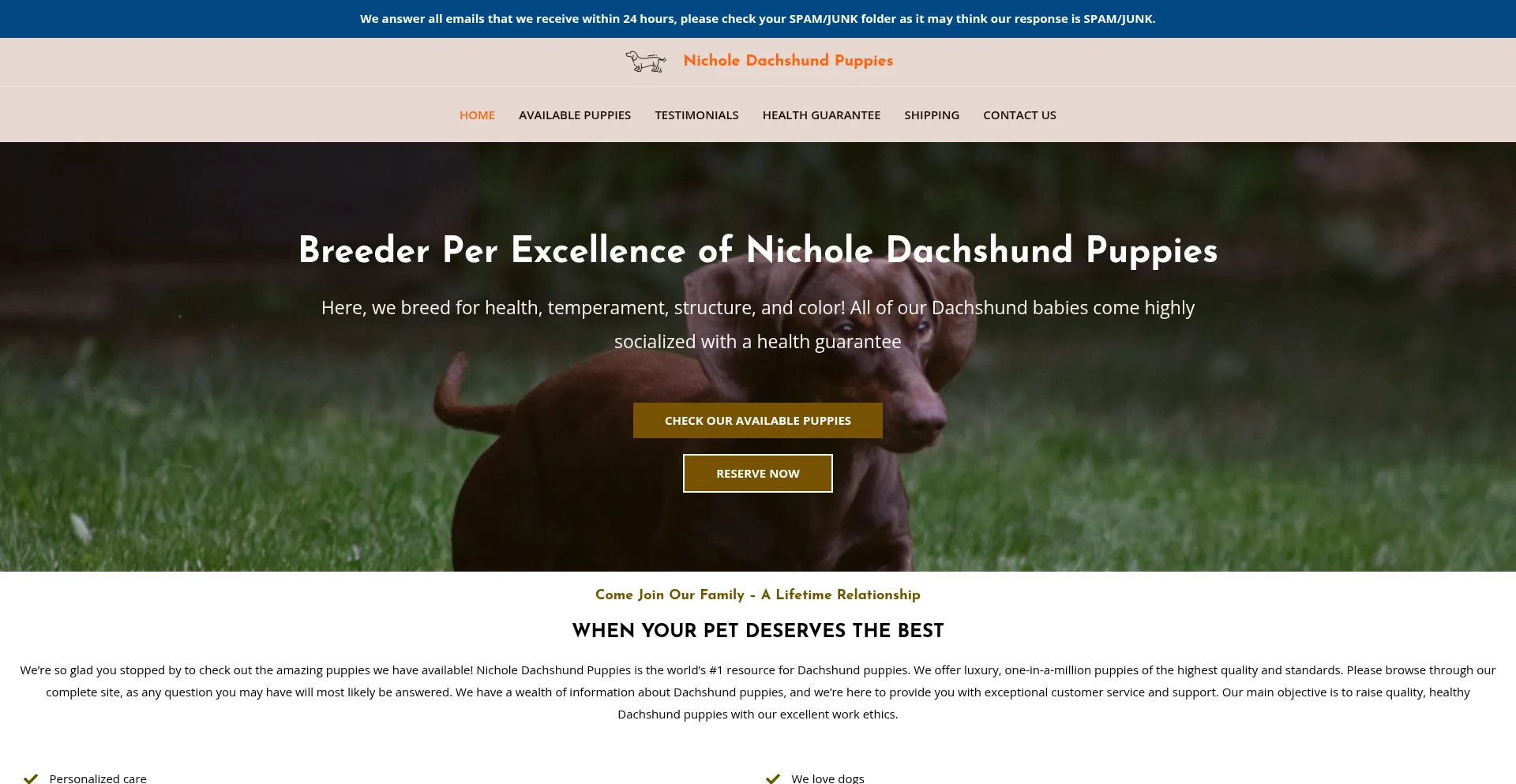 Website screenshot of Nicholedachshundpuppies.com