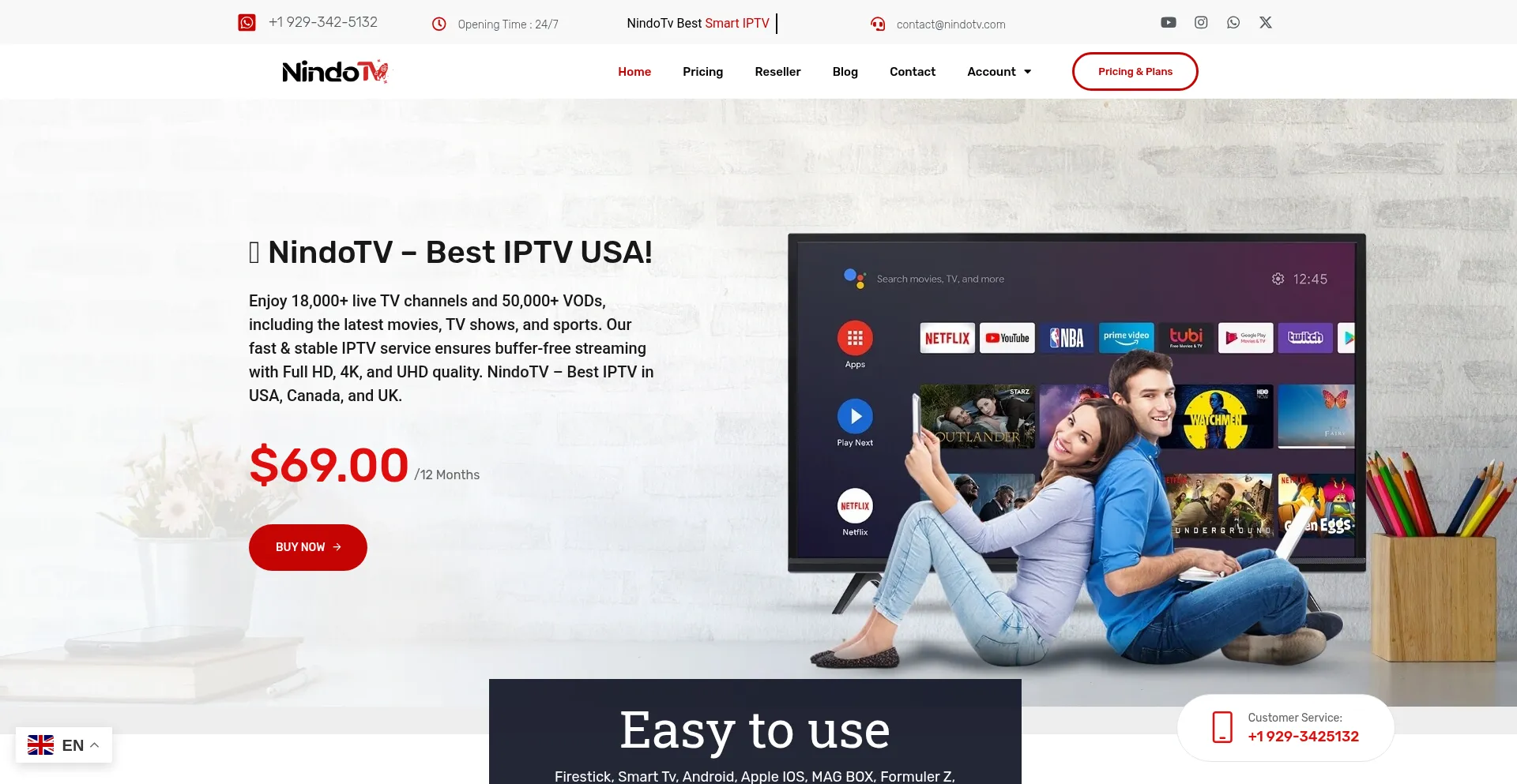 Website screenshot of Nindotv.com