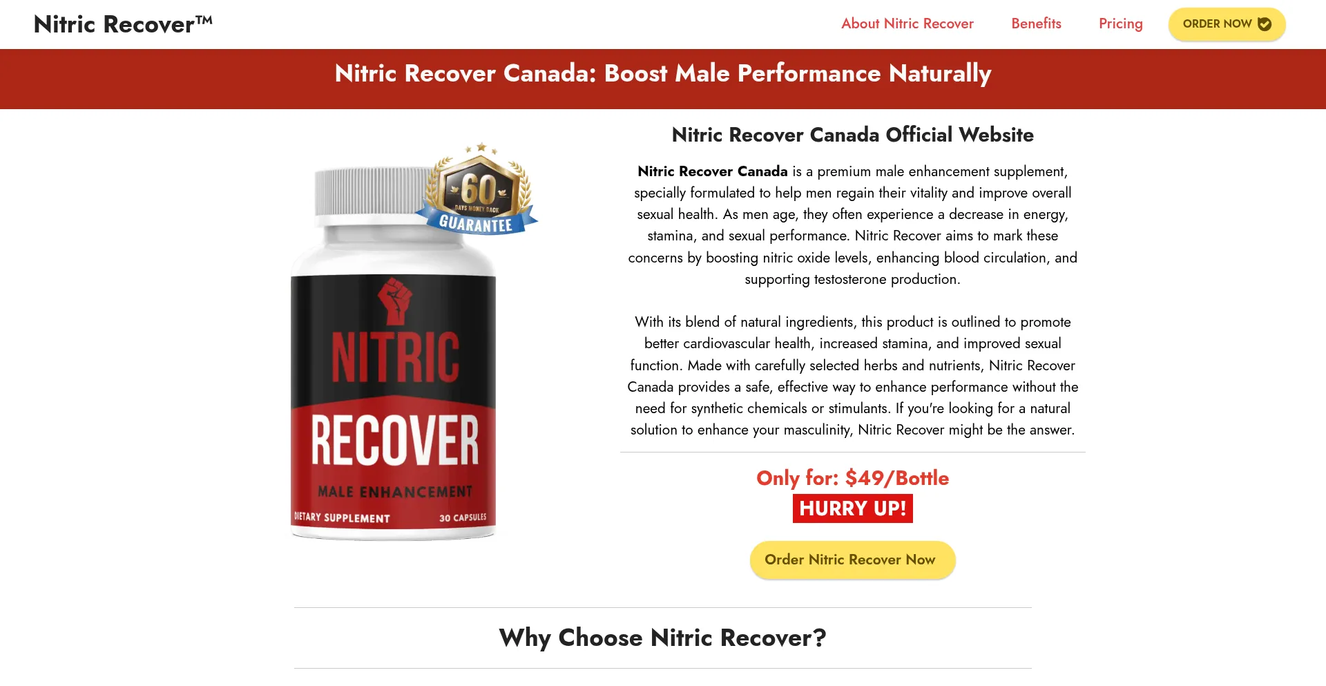 Website screenshot of Nitric-recover.ca