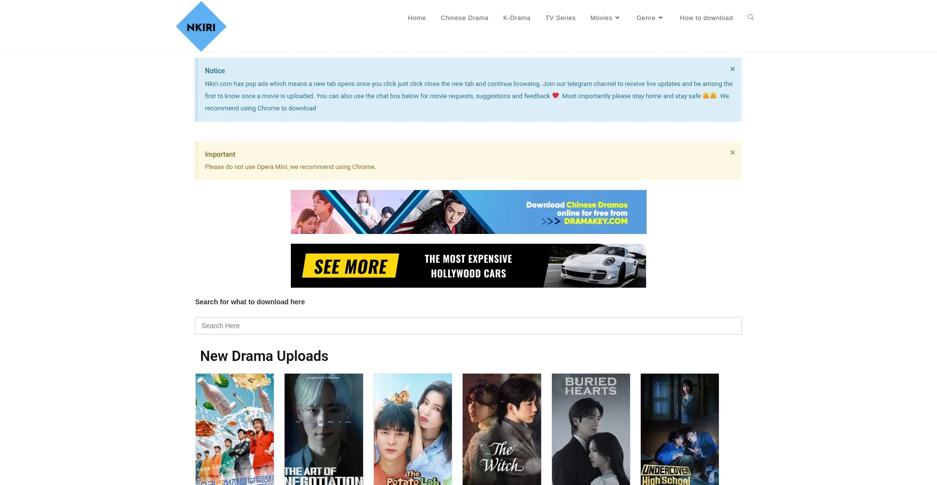 Website screenshot of Nkiri.com