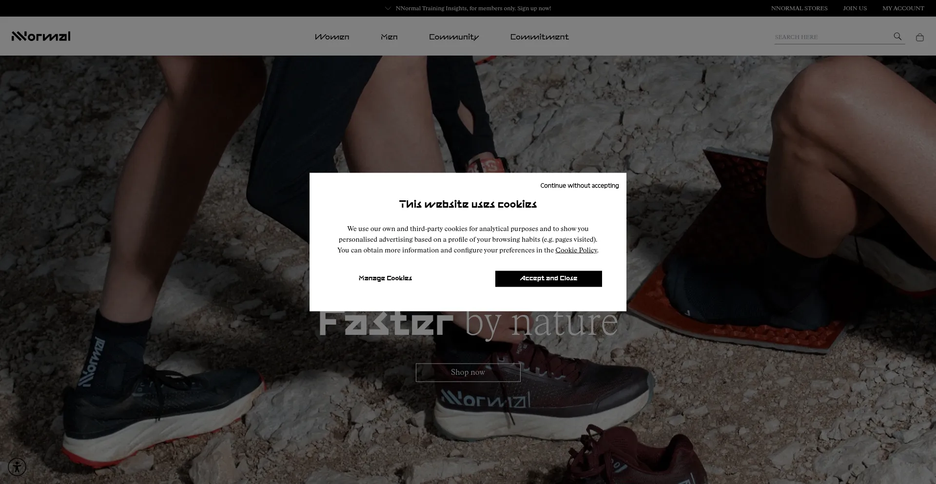 Website screenshot of Nnormal.com