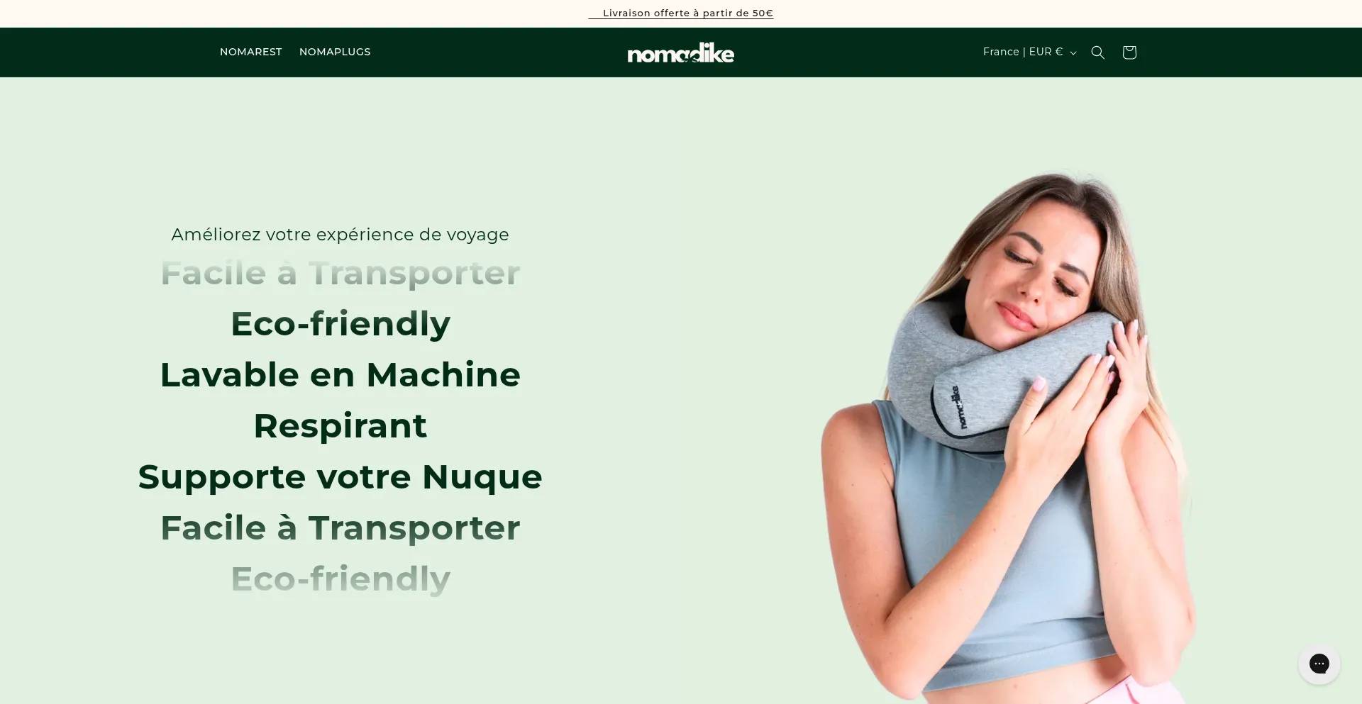 Website screenshot of Nomadike.com