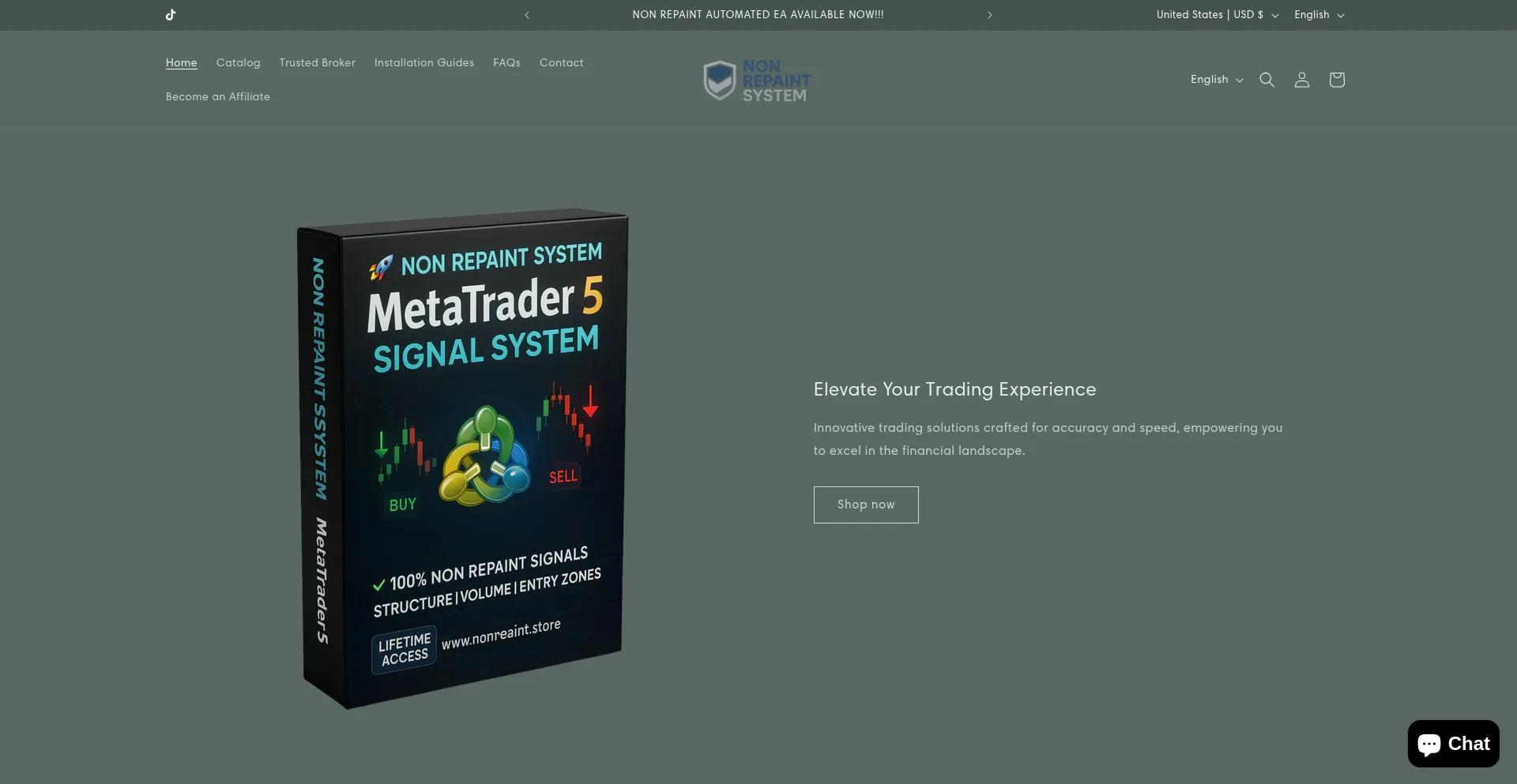 Website screenshot of Nonrepaint.store