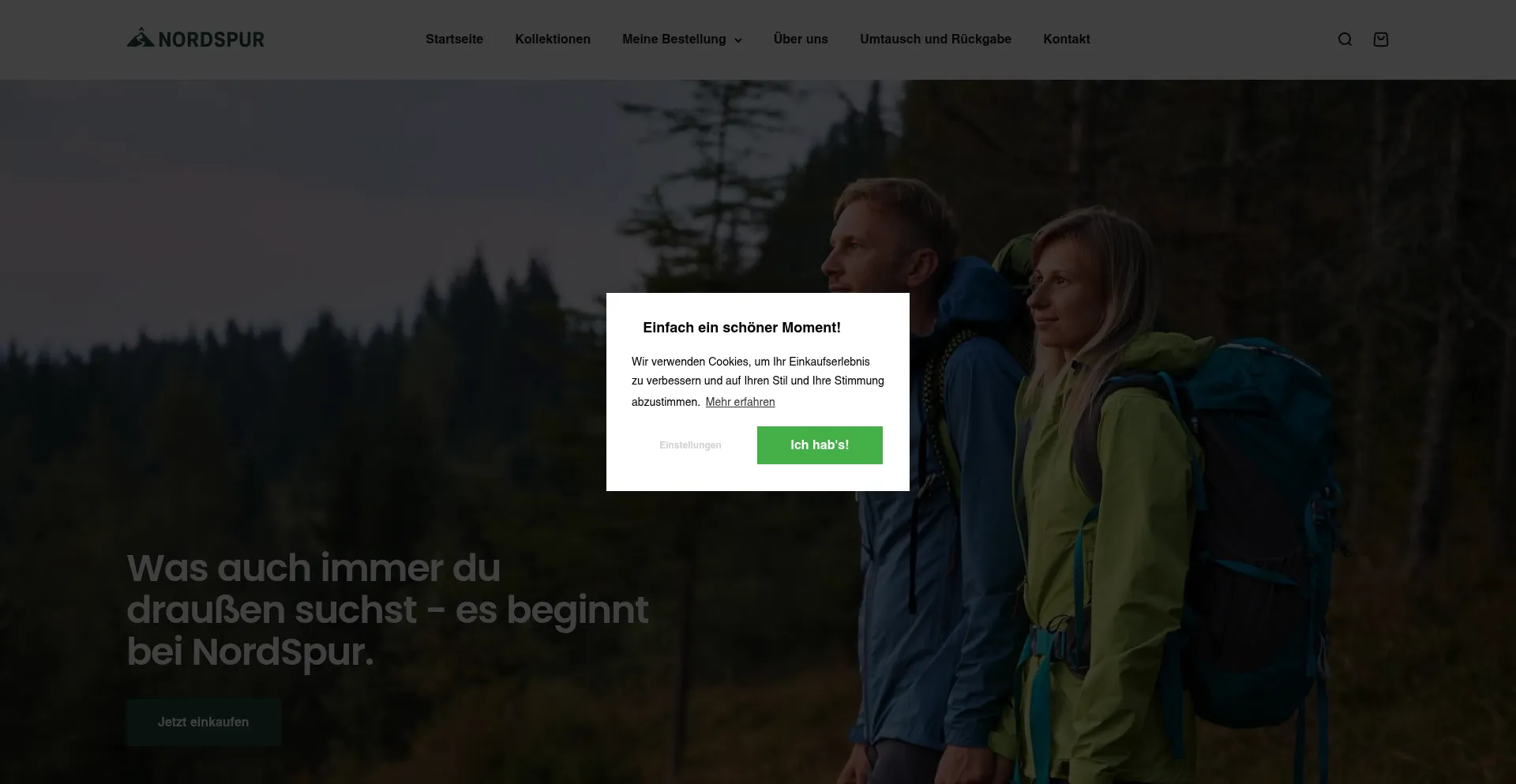 Website screenshot of Nordspur.de