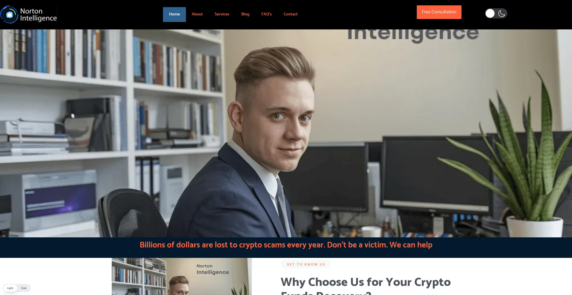 Website screenshot of Nortonintelligence.co.uk