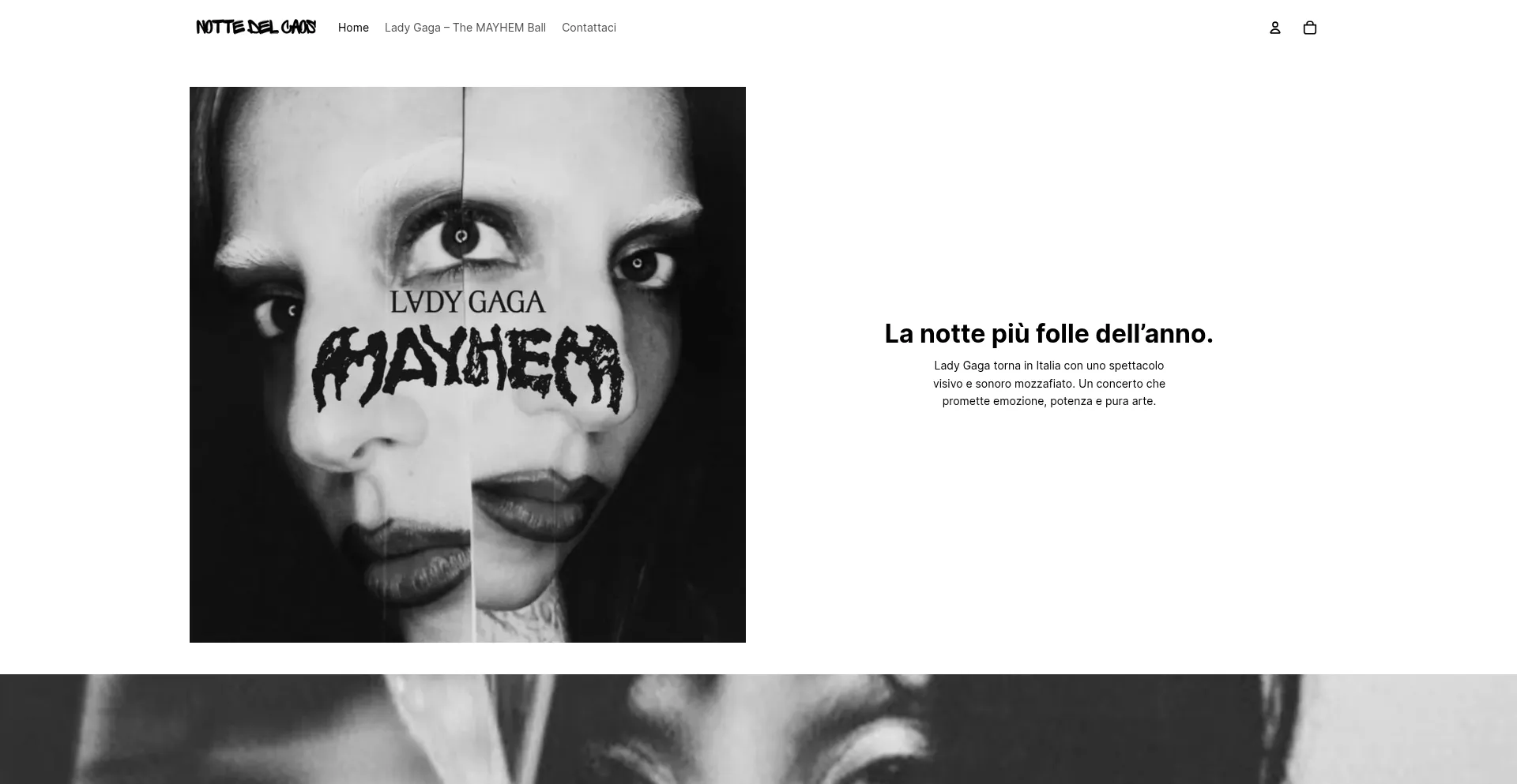 Website screenshot of Nottedelcaos.com