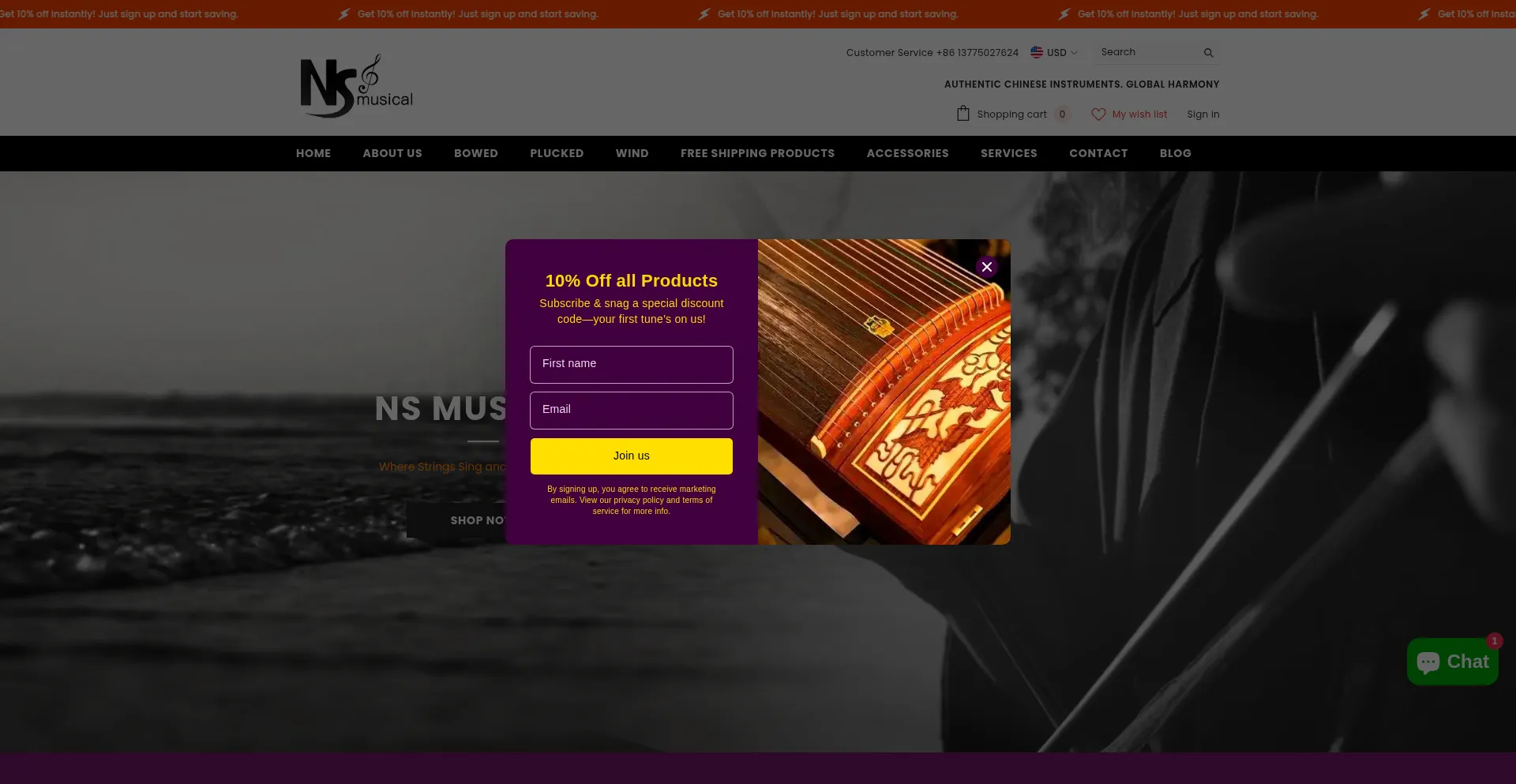 Website screenshot of Nsmusical.com