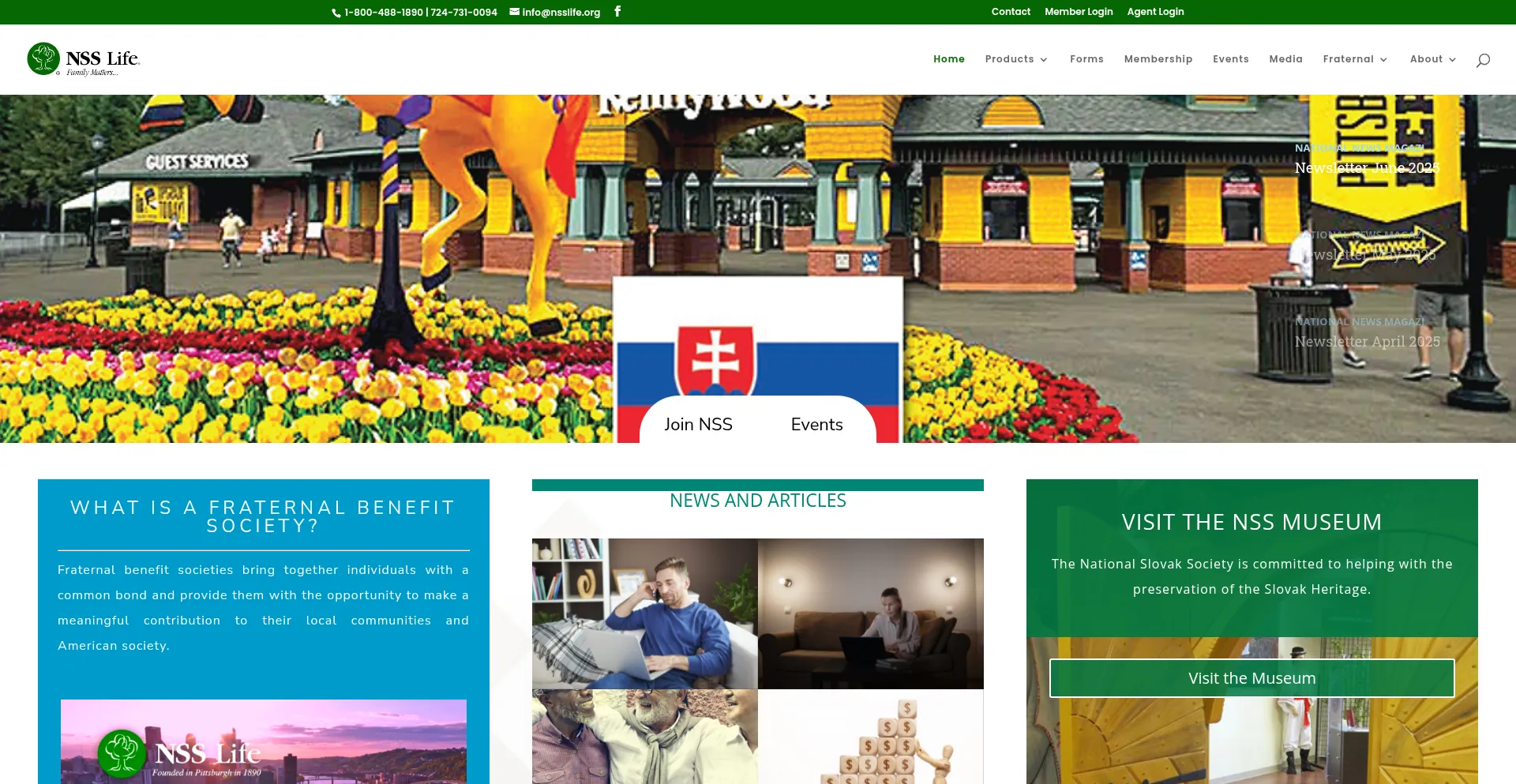 Website screenshot of Nsslife.org